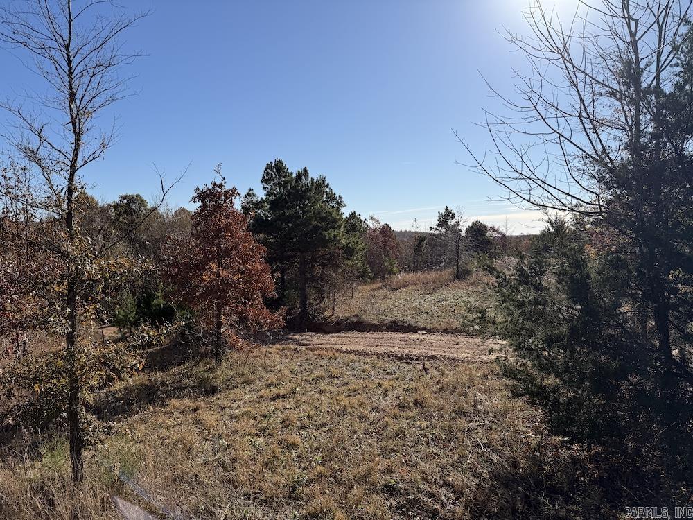 #2 Hide and Seek Lane  Leslie, AR