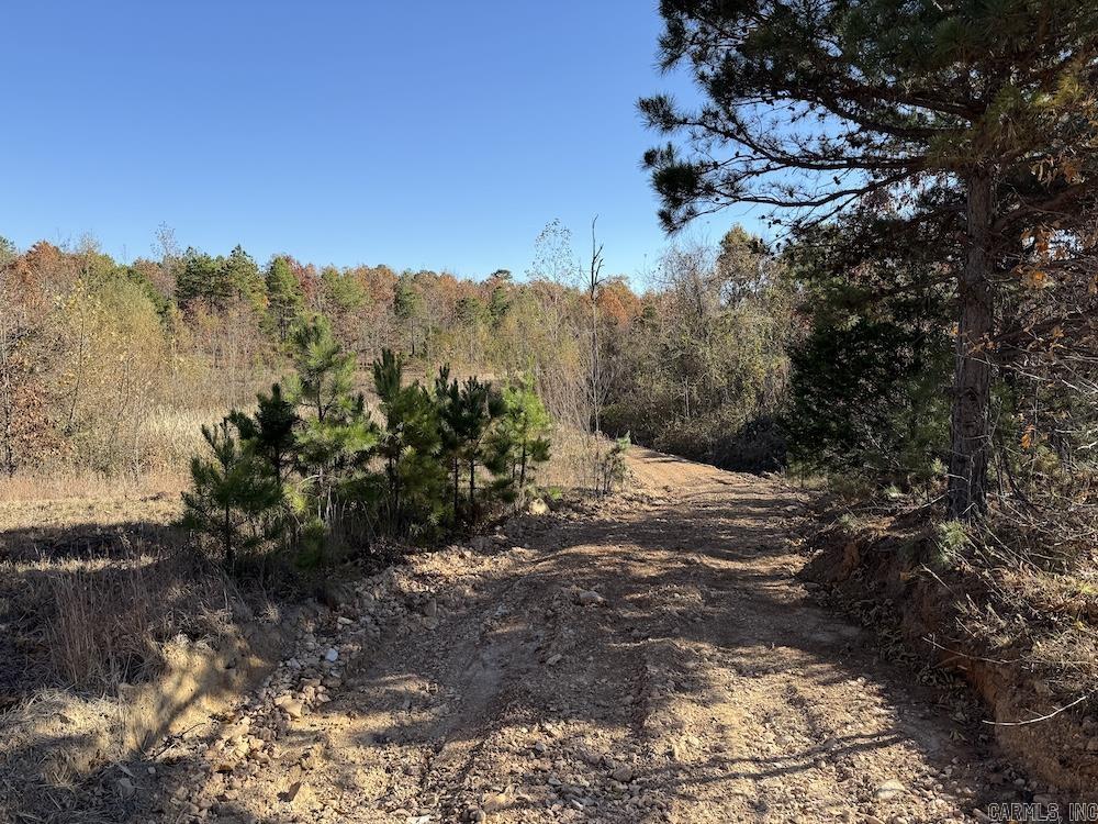 #2 Hide and Seek Lane  Leslie, AR