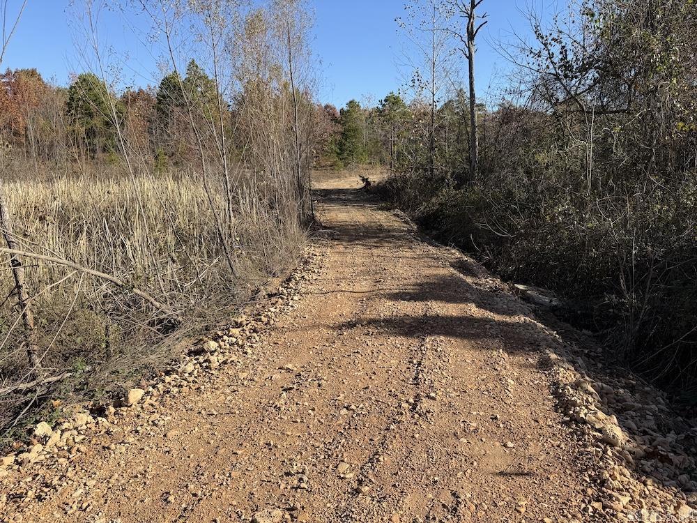 #2 Hide and Seek Lane  Leslie, AR