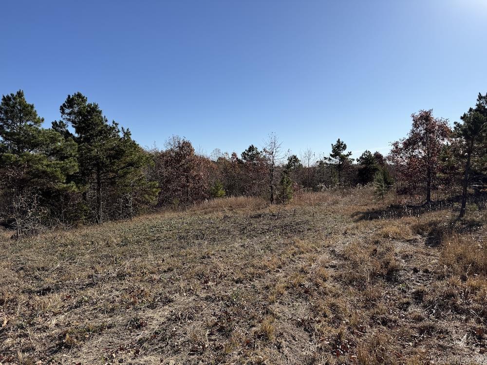 #2 Hide and Seek Lane  Leslie, AR