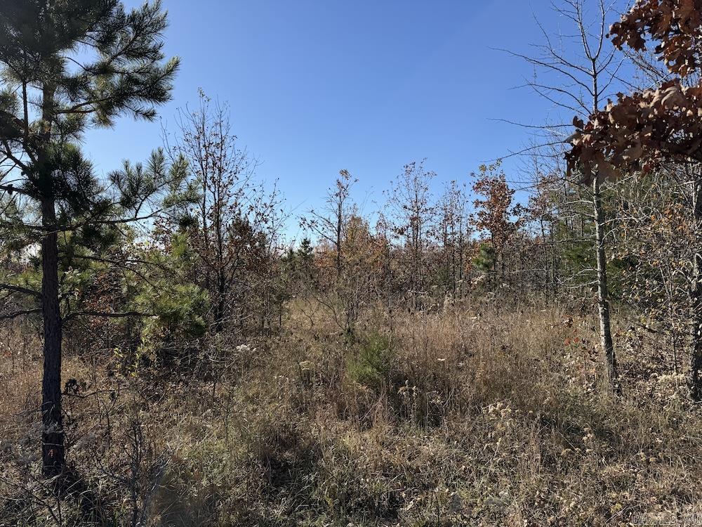 #2 Hide and Seek Lane  Leslie, AR