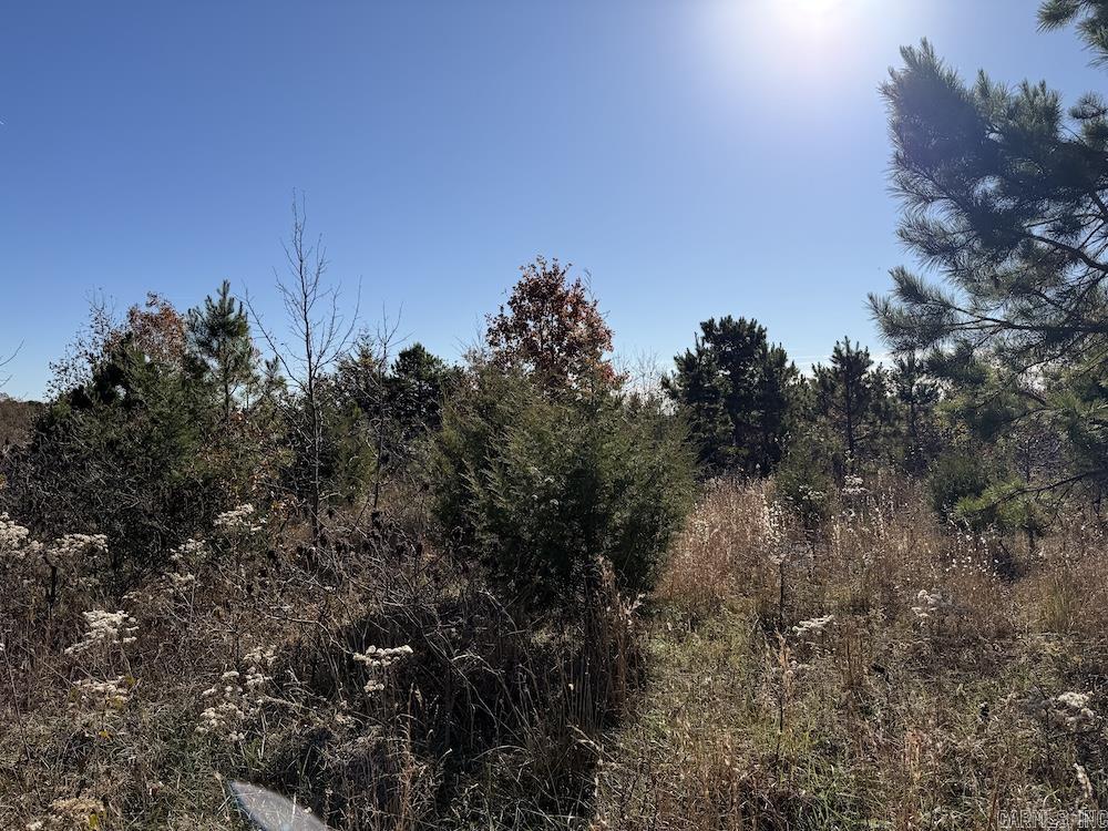 #2 Hide and Seek Lane  Leslie, AR