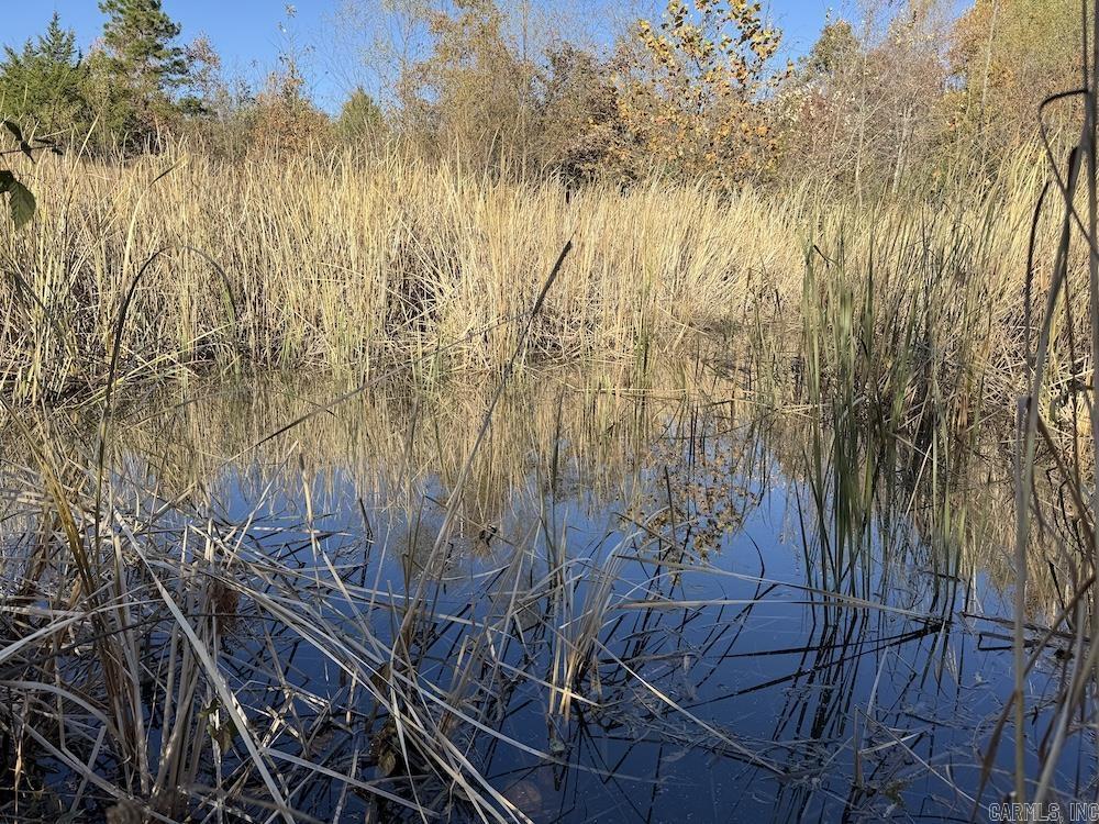 #2 Hide and Seek Lane  Leslie, AR