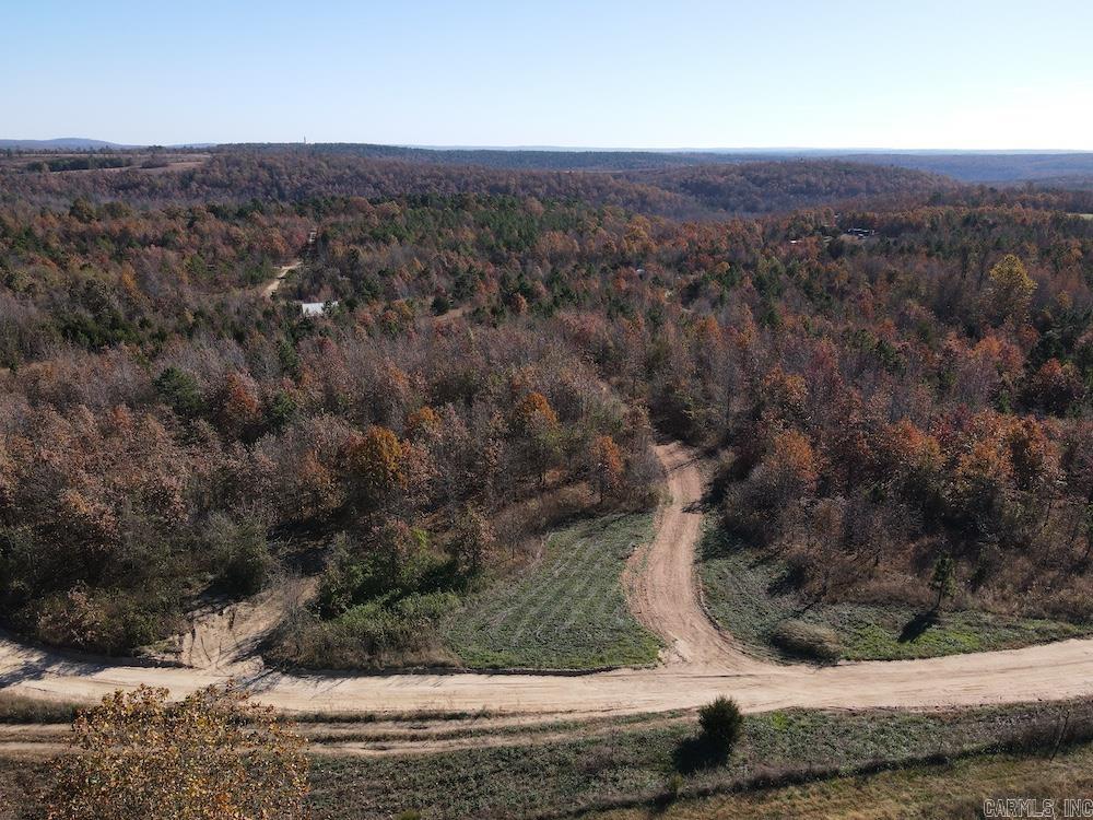 #2 Hide and Seek Lane  Leslie, AR