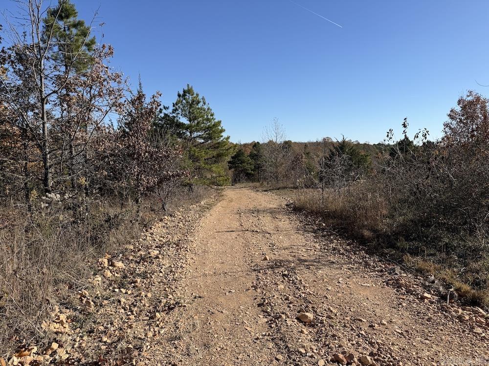 #2 Hide and Seek Lane  Leslie, AR