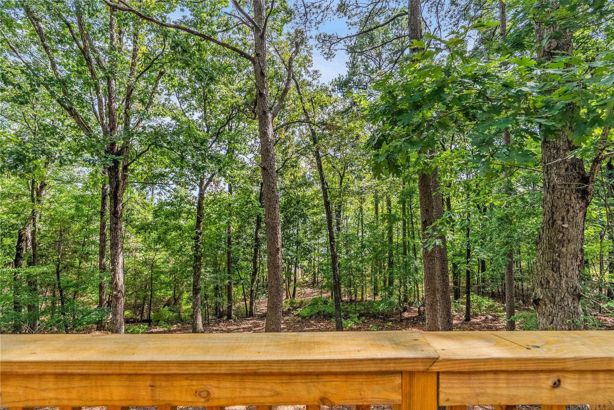 167 Wilshire Drive  Fairfield Bay, AR