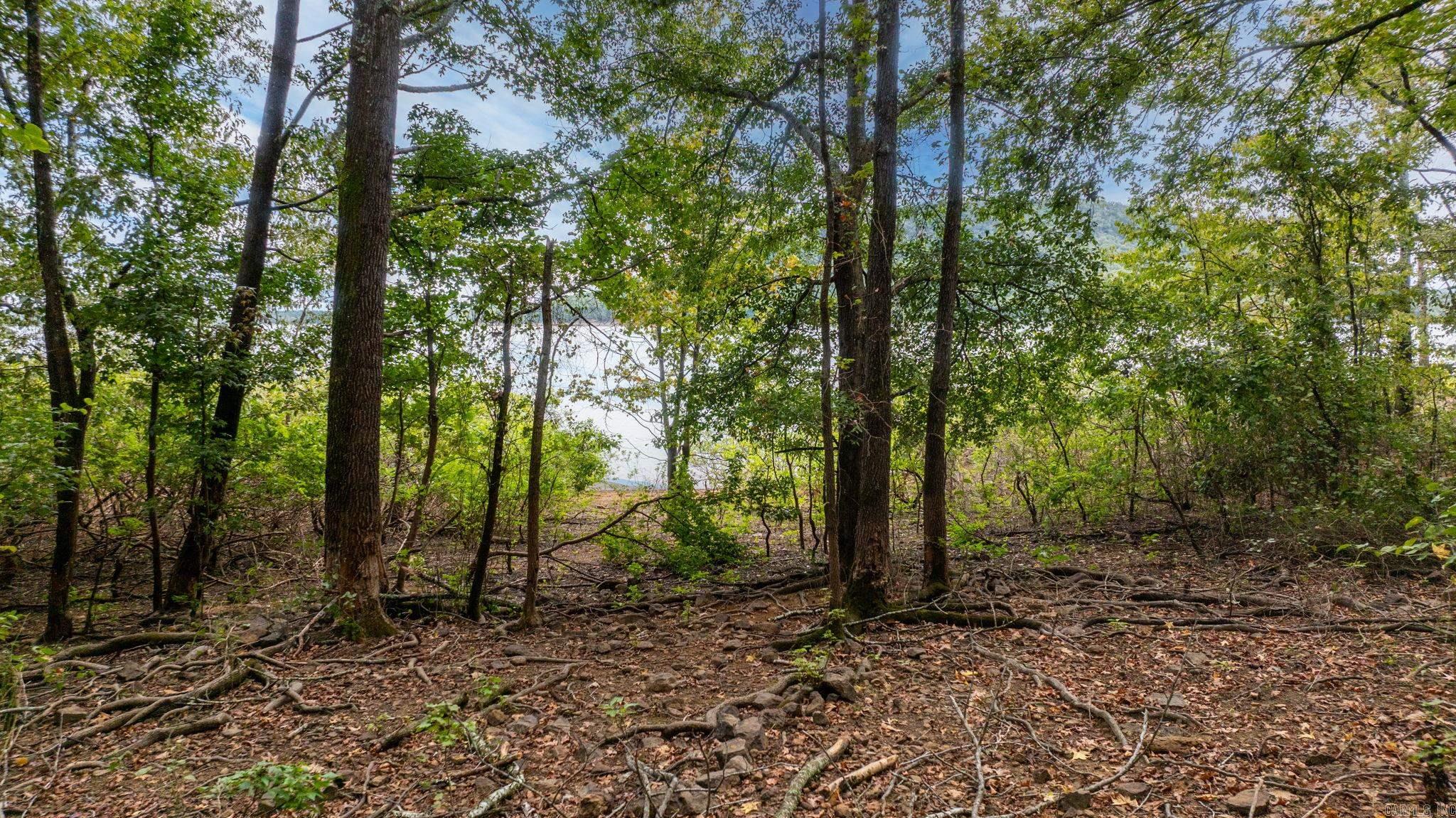 167 Wilshire Drive  Fairfield Bay, AR