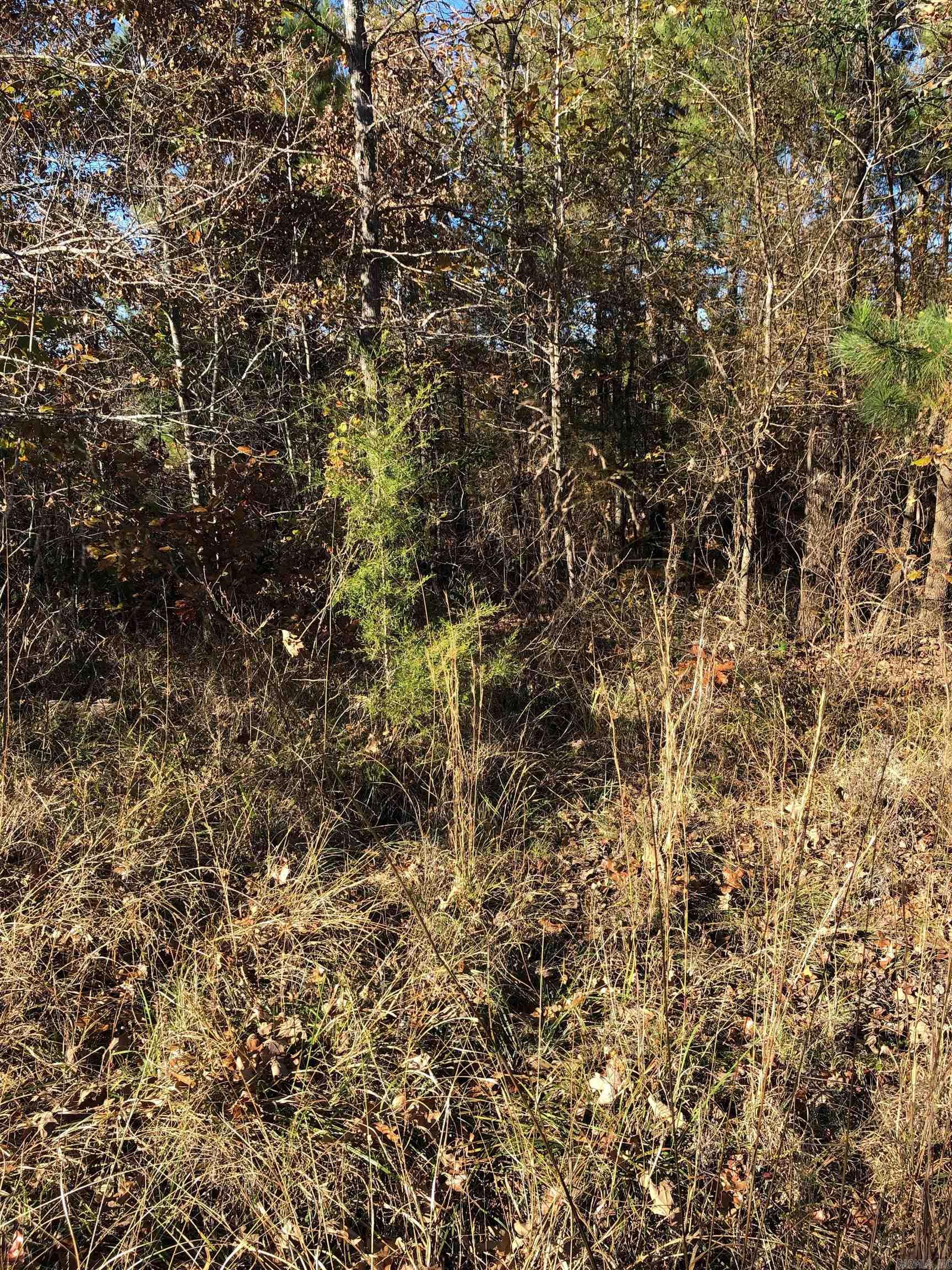 tbd Hwy 301  Murfreesboro, AR