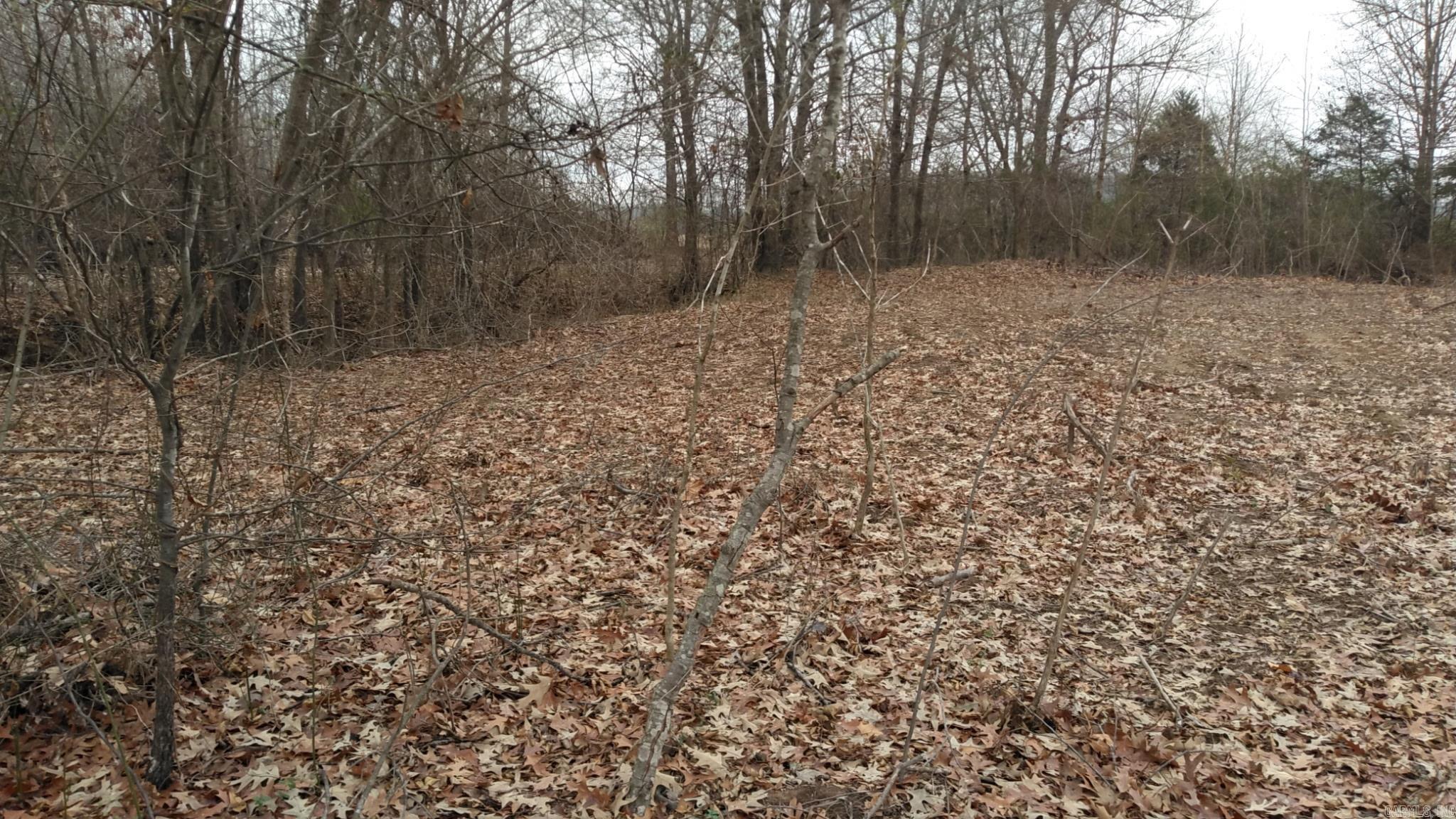 000 Old Russell Rd  Bald Knob, AR