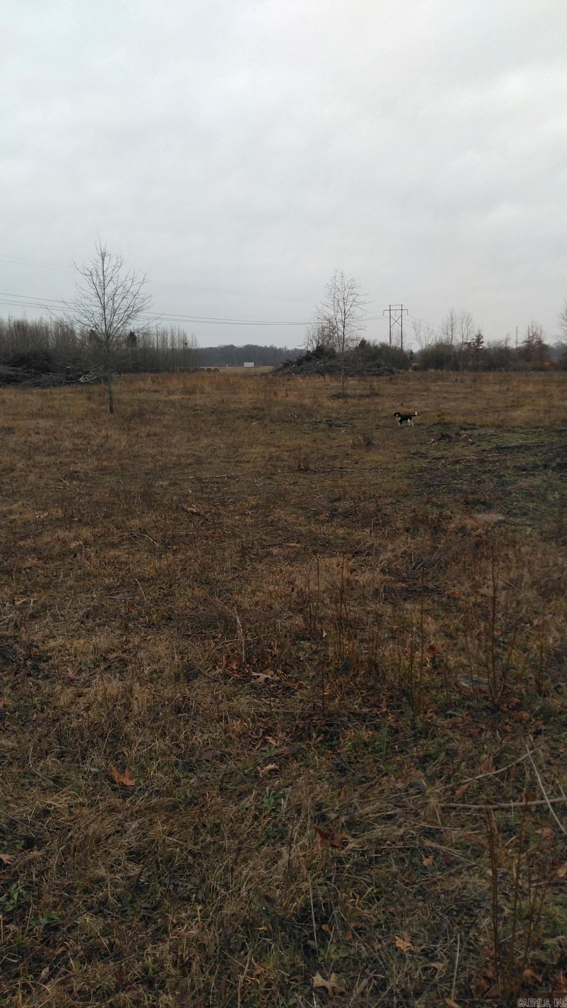 000 Old Russell Rd  Bald Knob, AR