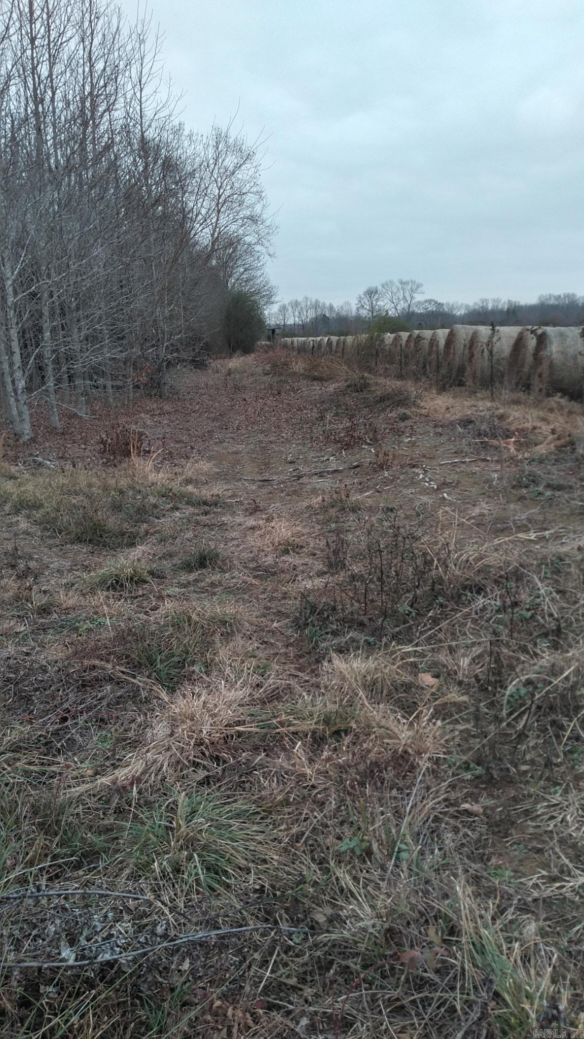 000 Old Russell Rd  Bald Knob, AR