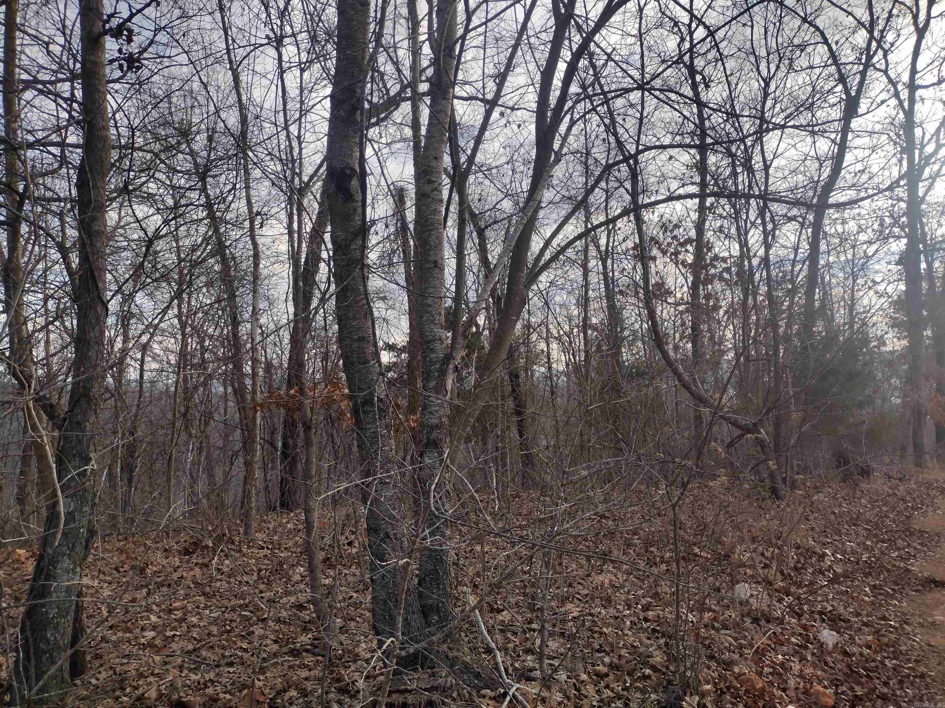 0 Geier RD  Mountain View, AR