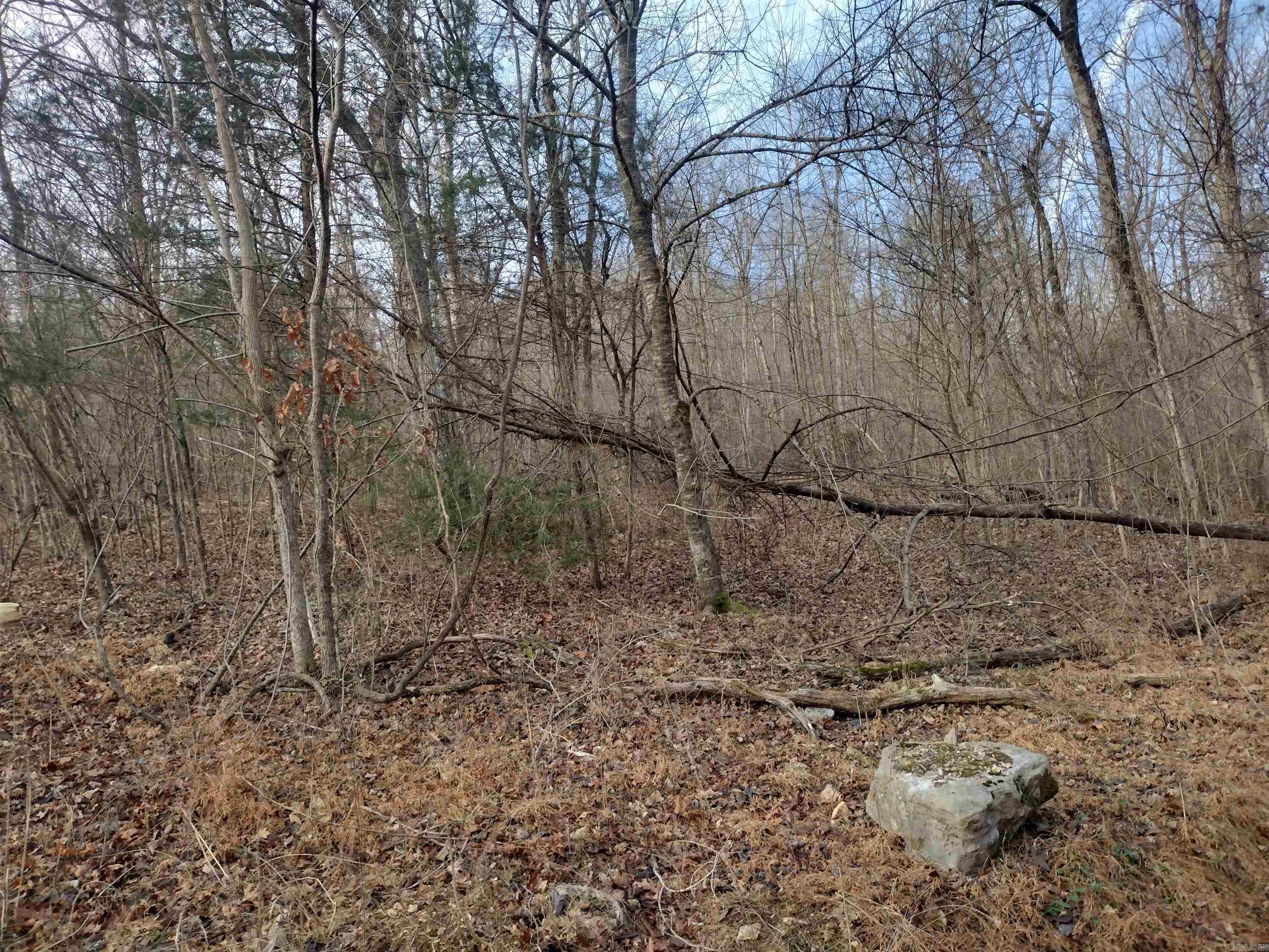 0 Geier RD  Mountain View, AR