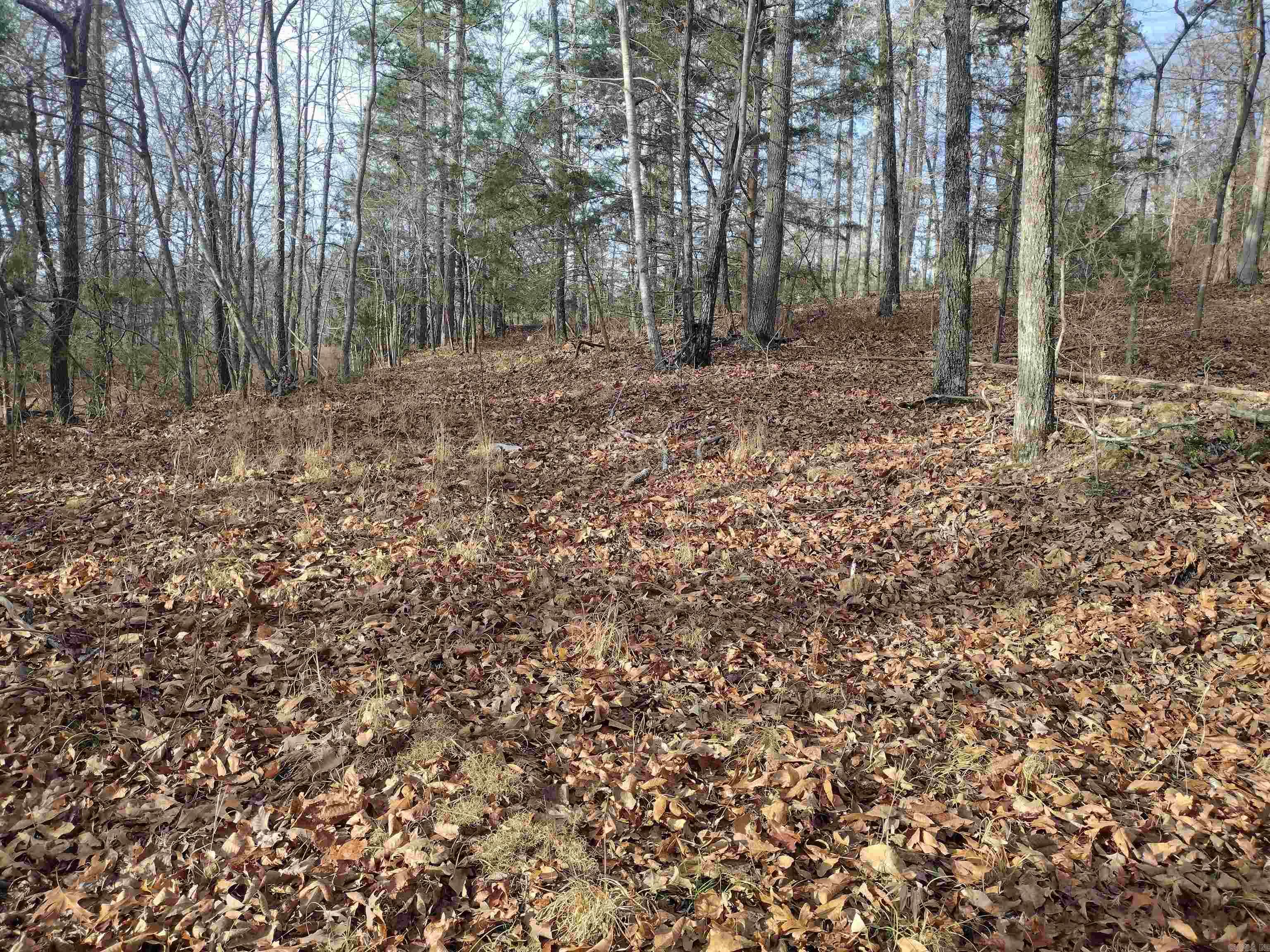 0 Geier RD  Mountain View, AR