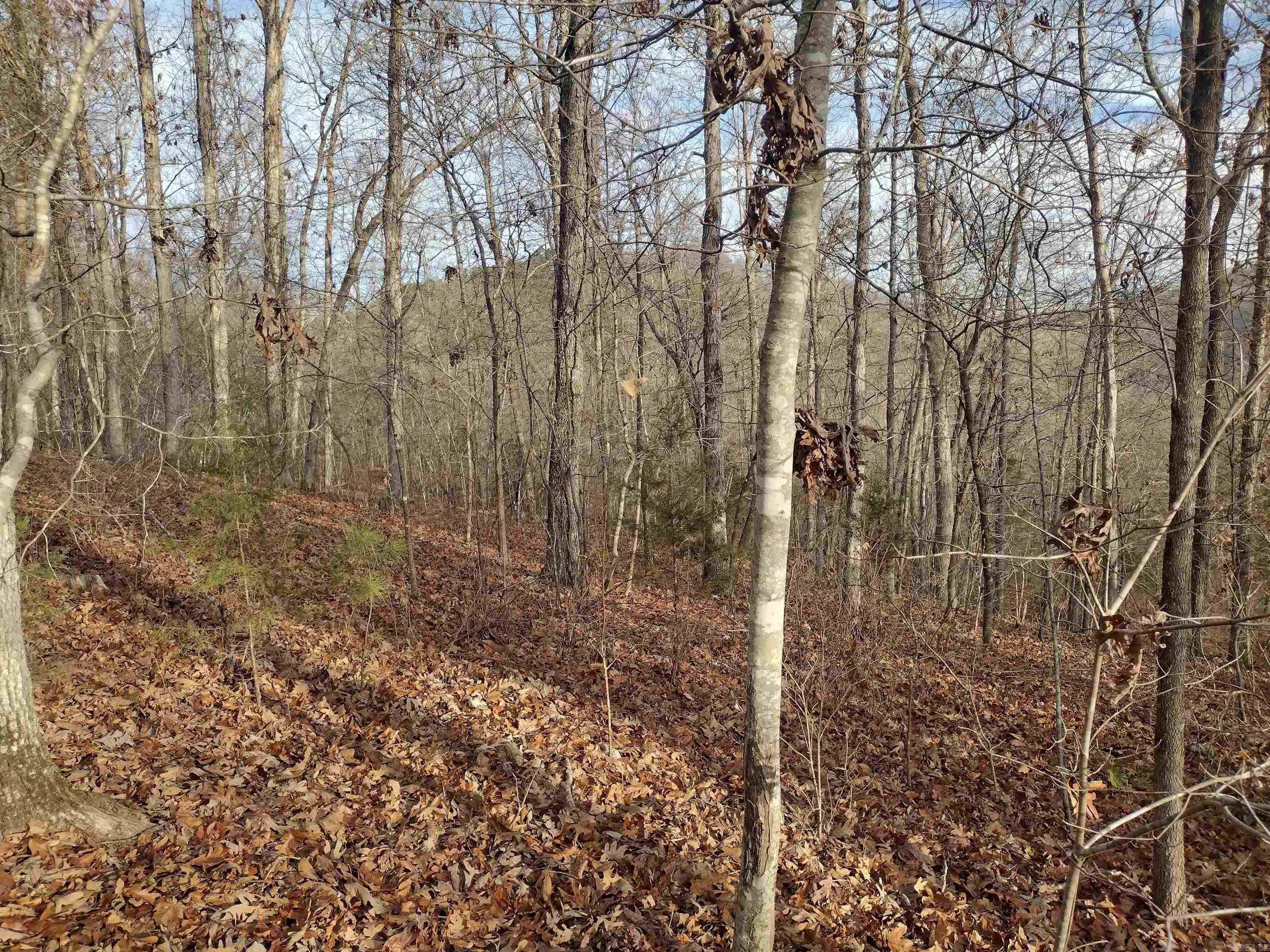 0 Geier RD  Mountain View, AR