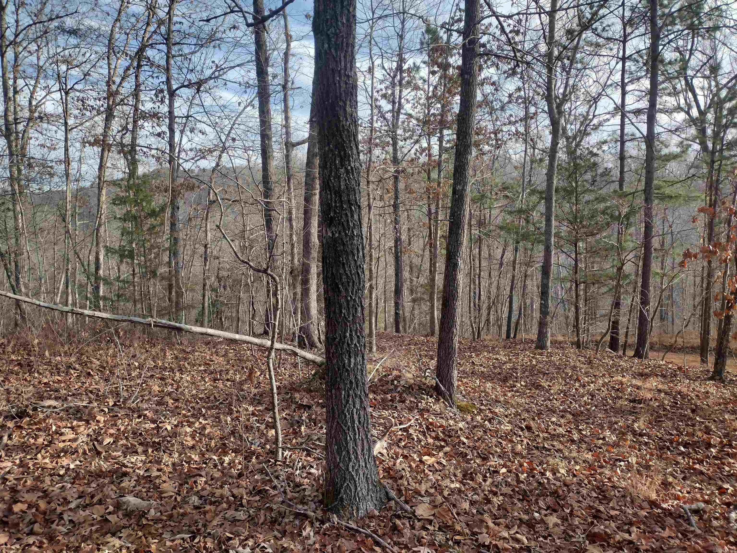 0 Geier RD  Mountain View, AR