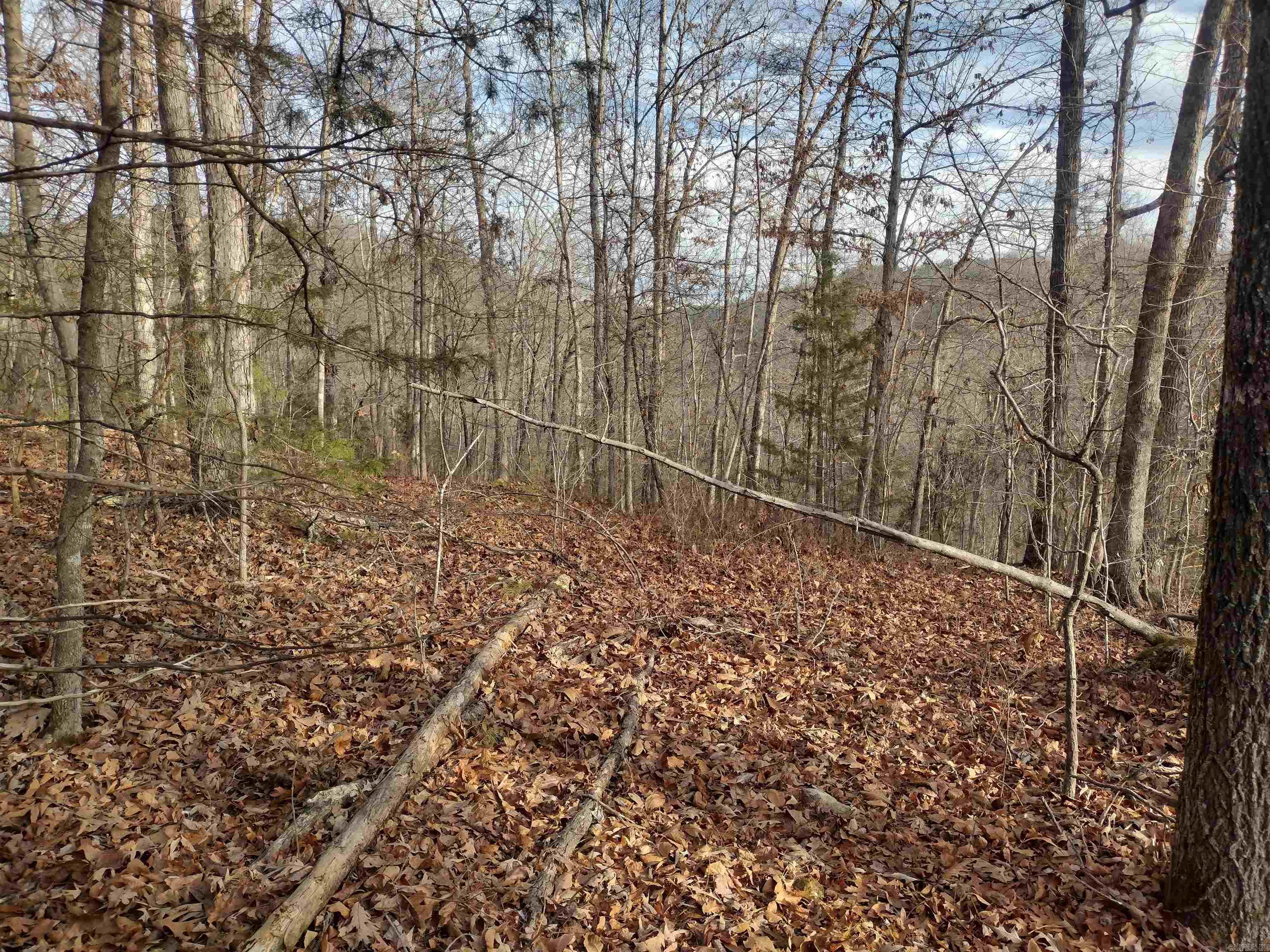 0 Geier RD  Mountain View, AR