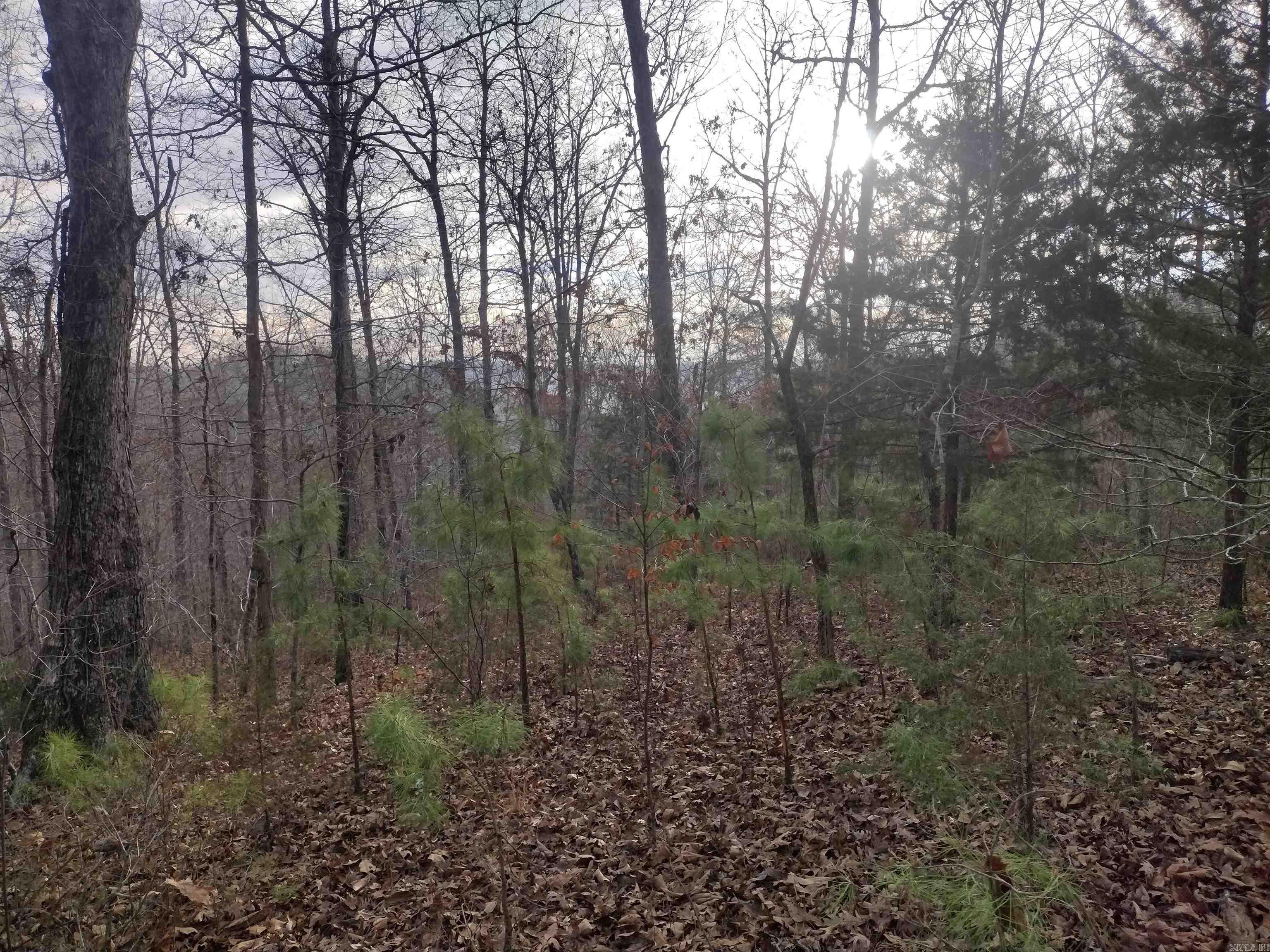 0 Geier RD  Mountain View, AR