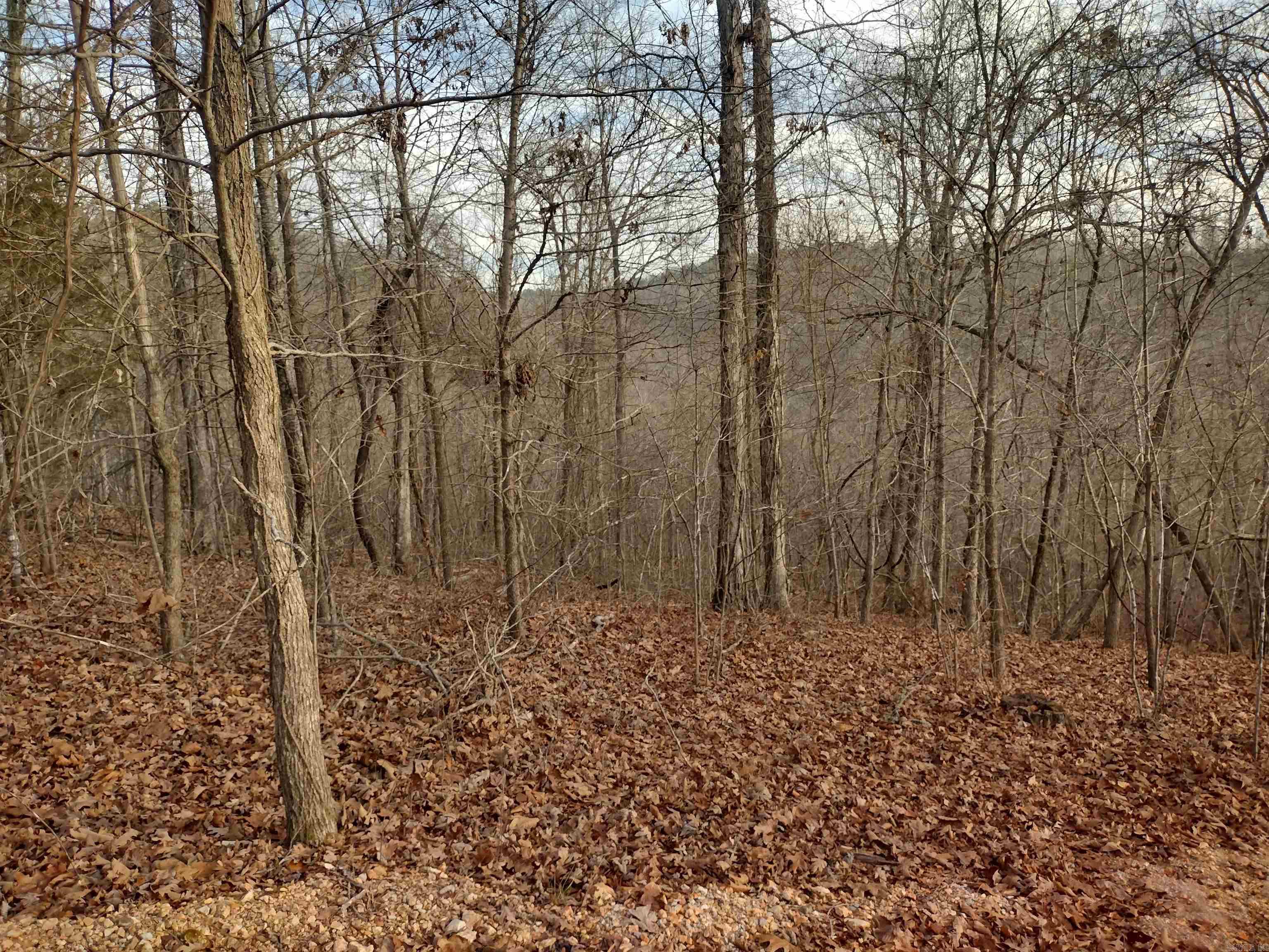 0 Geier RD  Mountain View, AR