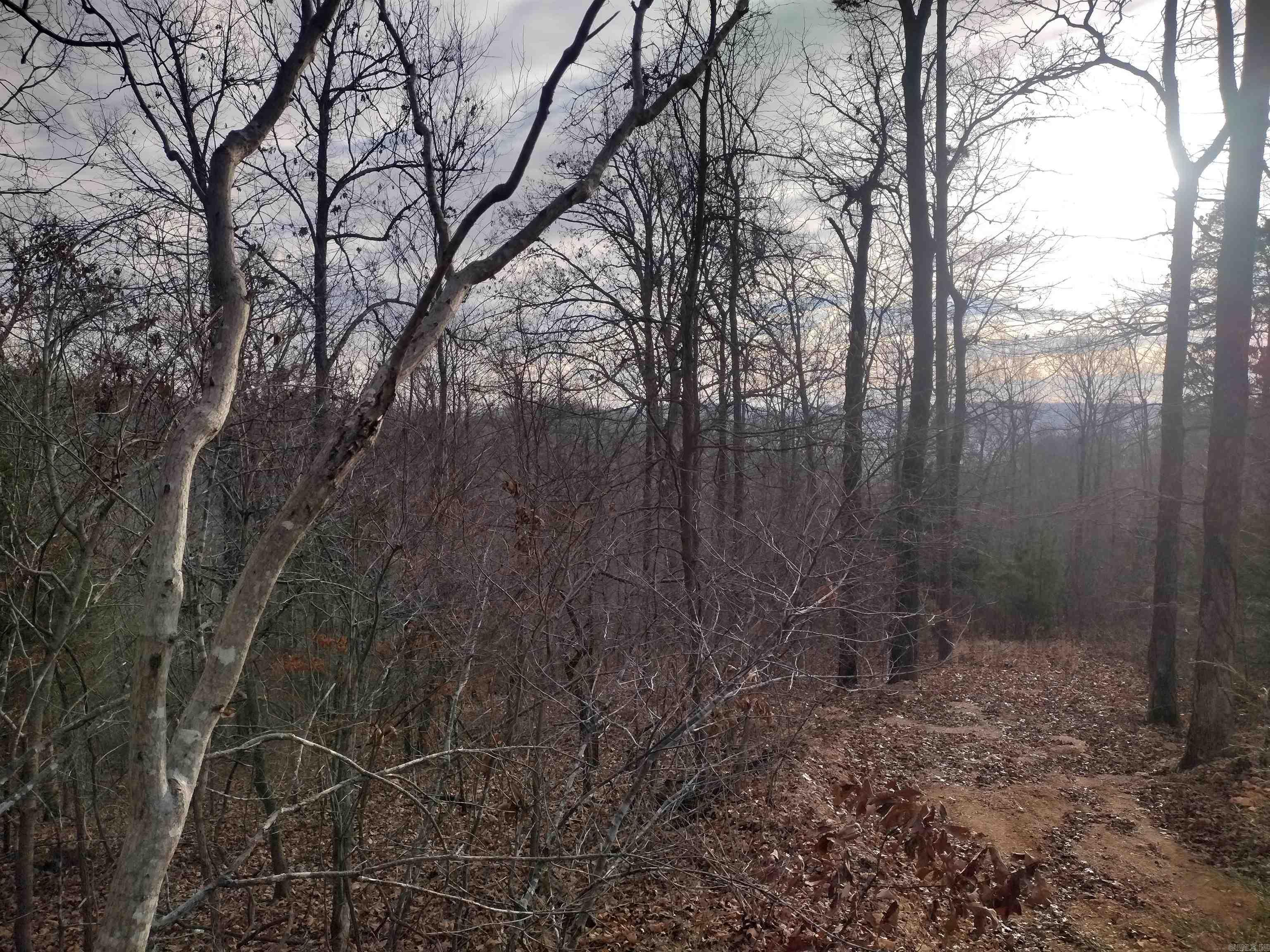 0 Geier RD  Mountain View, AR