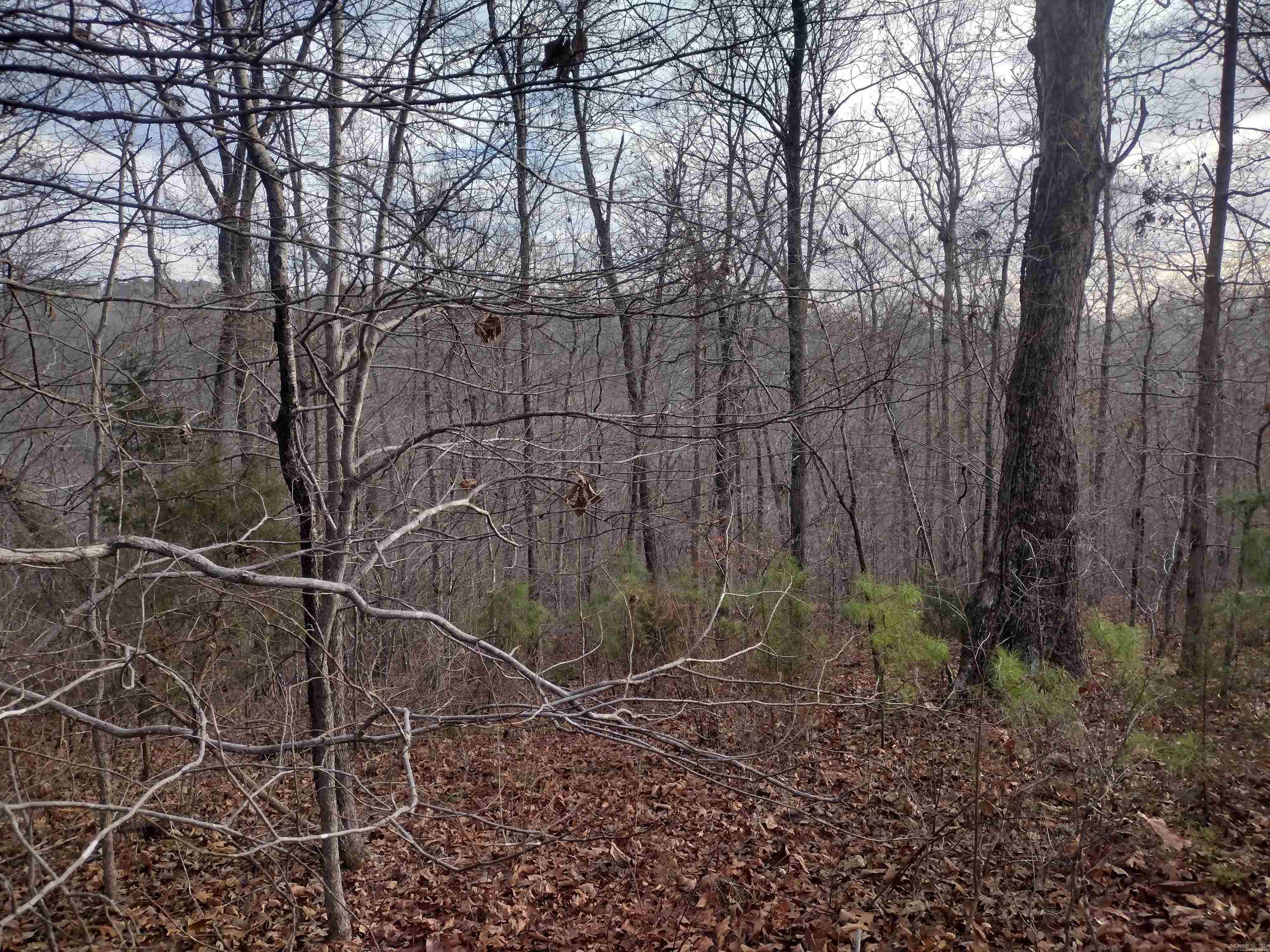 0 Geier RD  Mountain View, AR