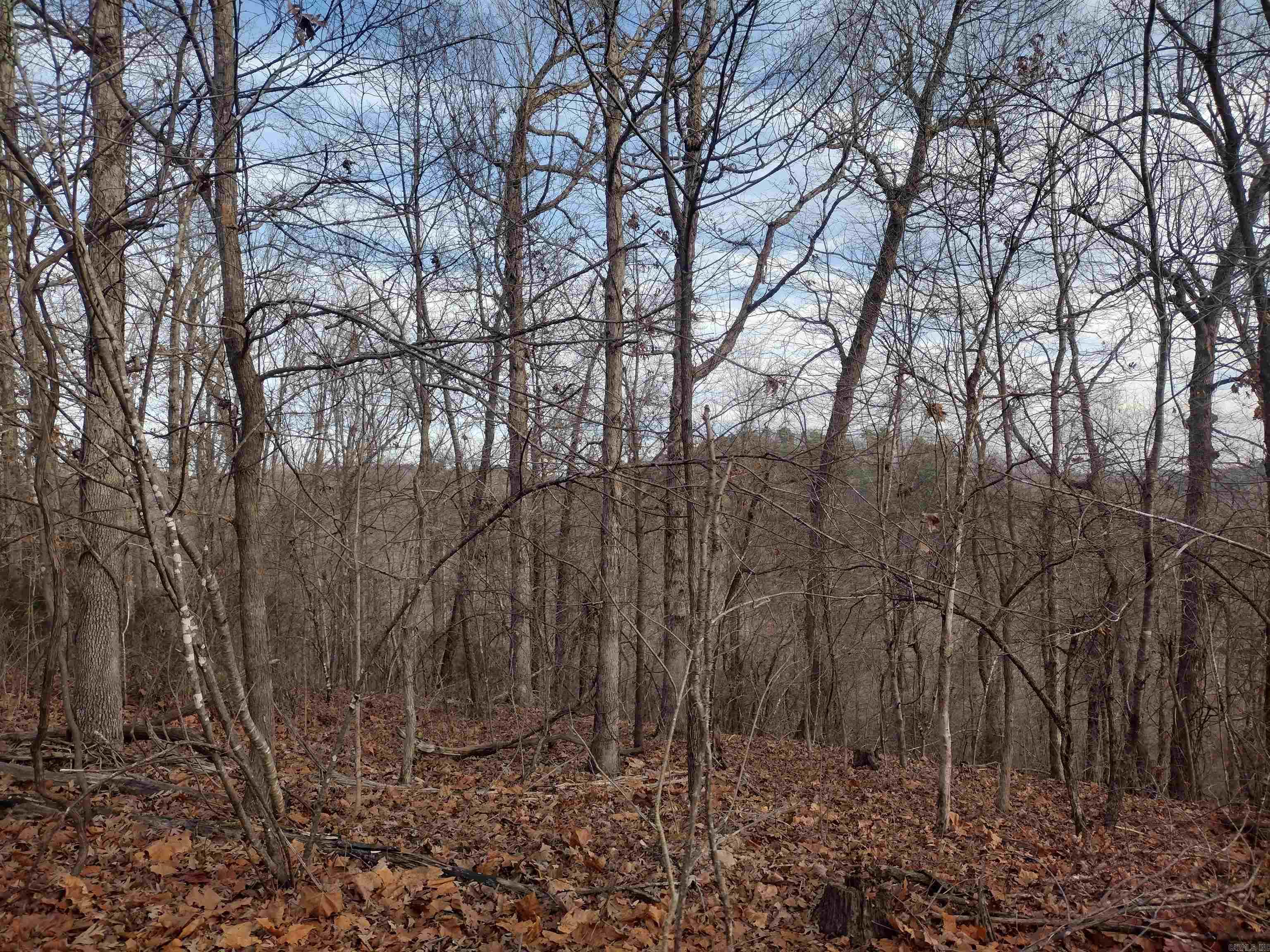 0 Geier RD  Mountain View, AR