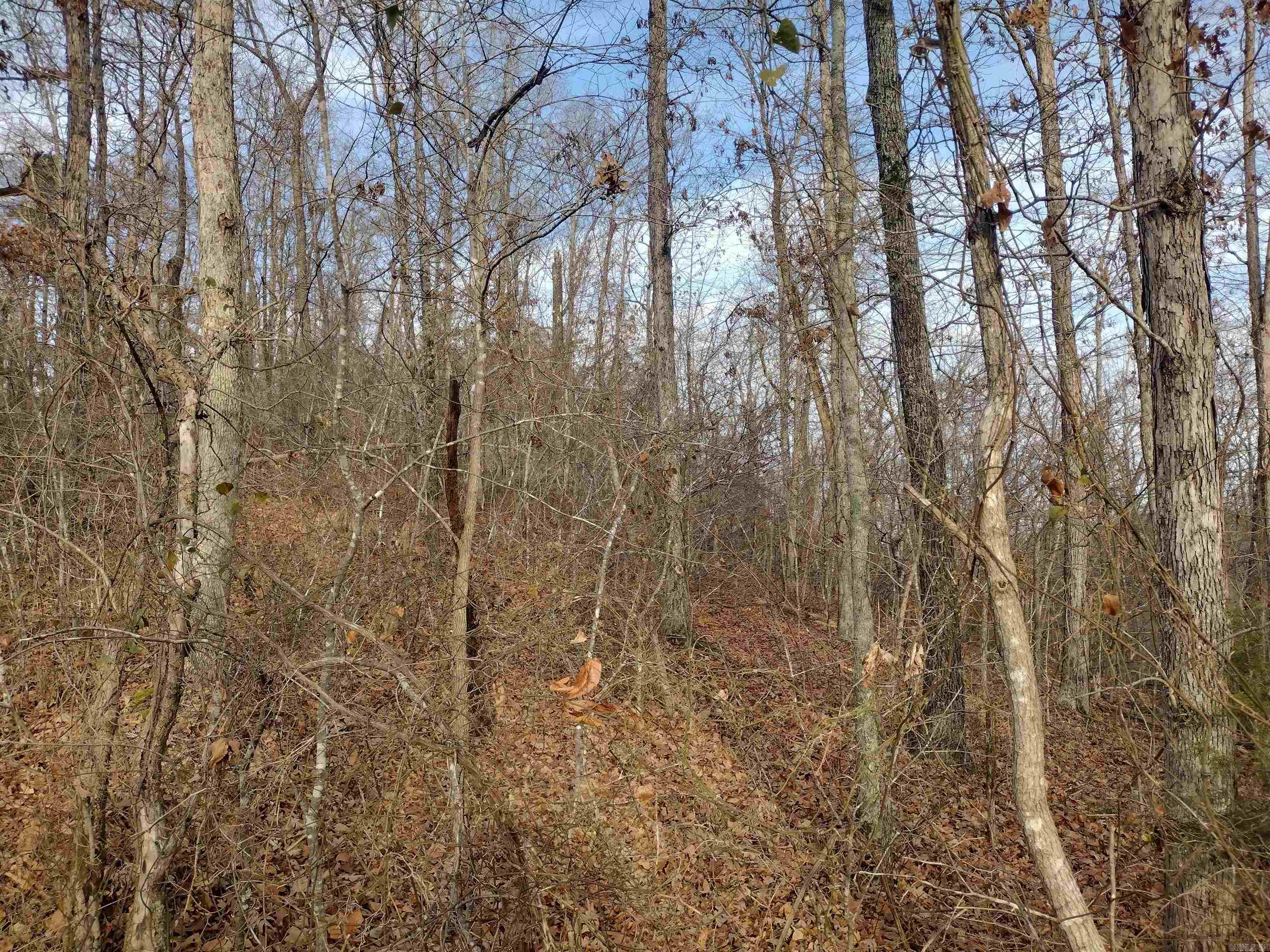 0 Geier RD  Mountain View, AR