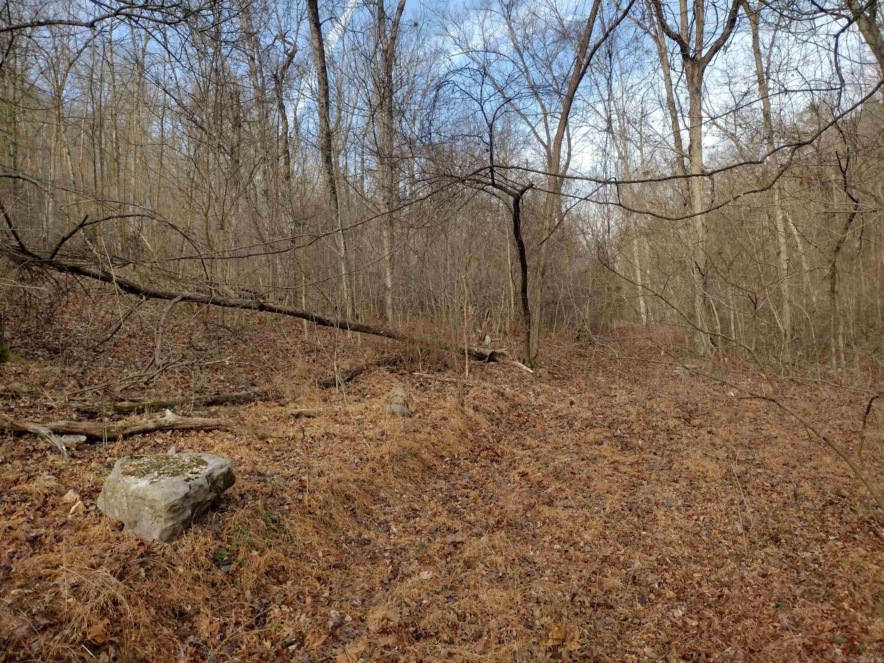 0 Geier RD  Mountain View, AR