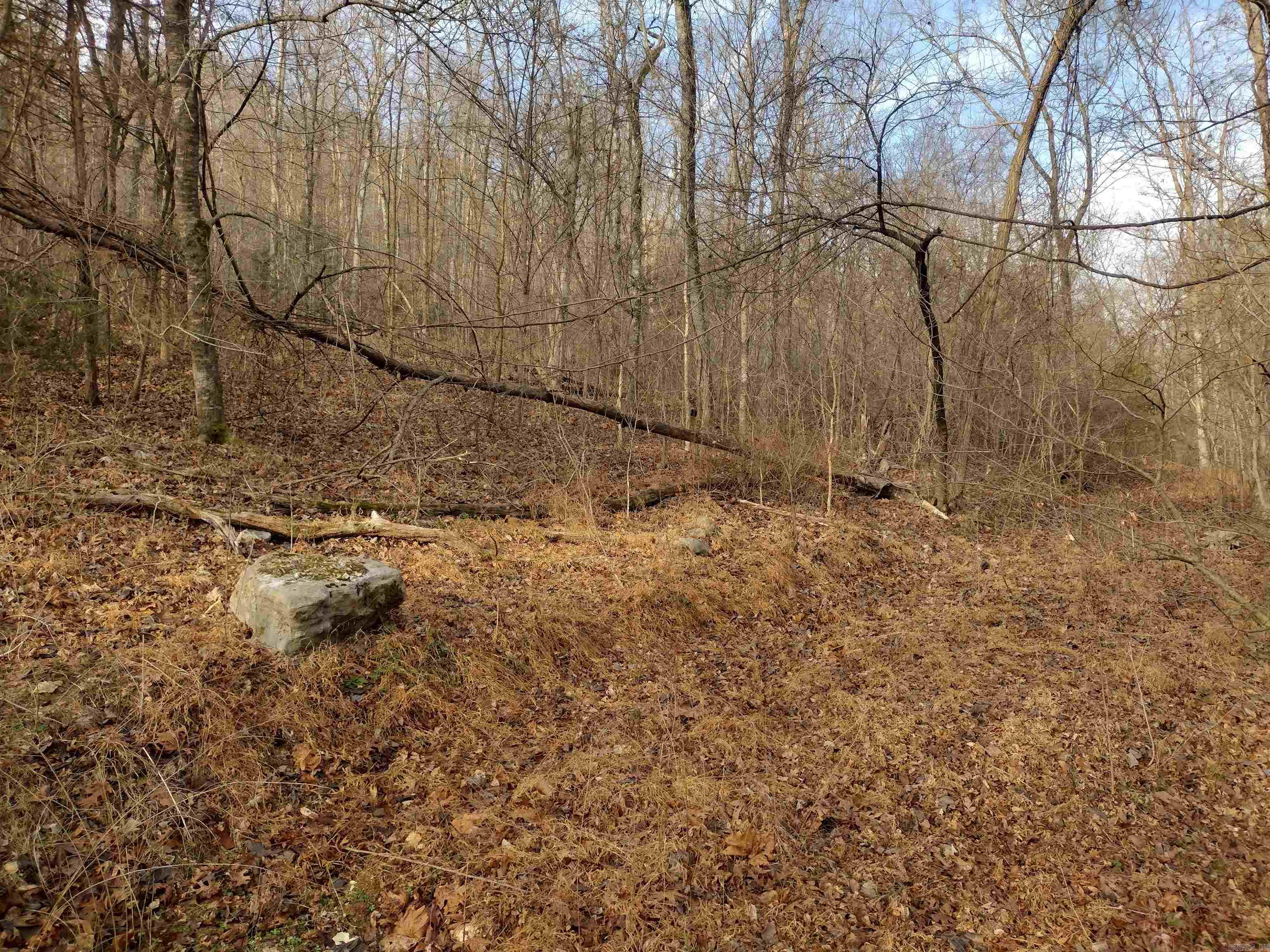 0 Geier RD  Mountain View, AR