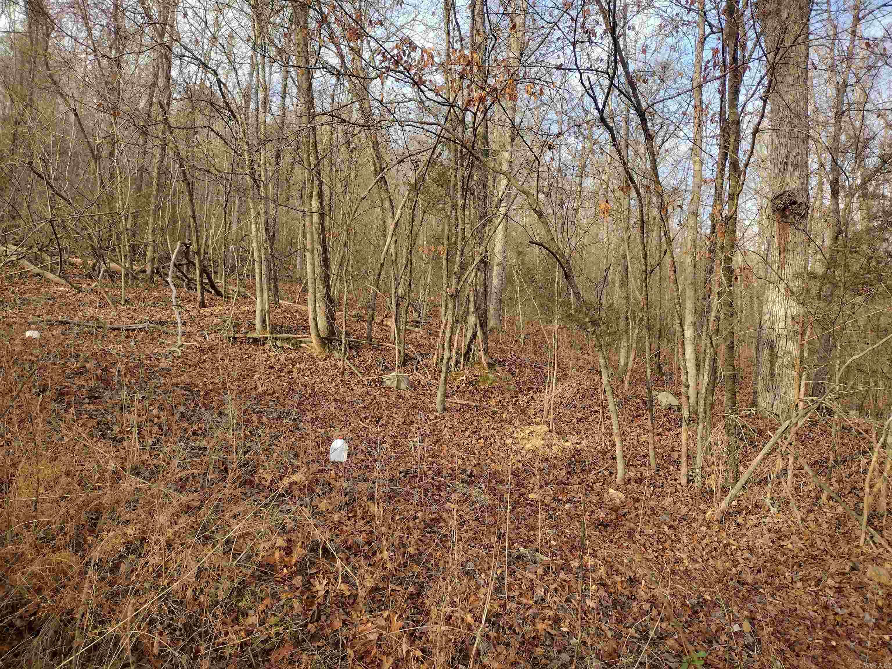 0 Geier RD  Mountain View, AR