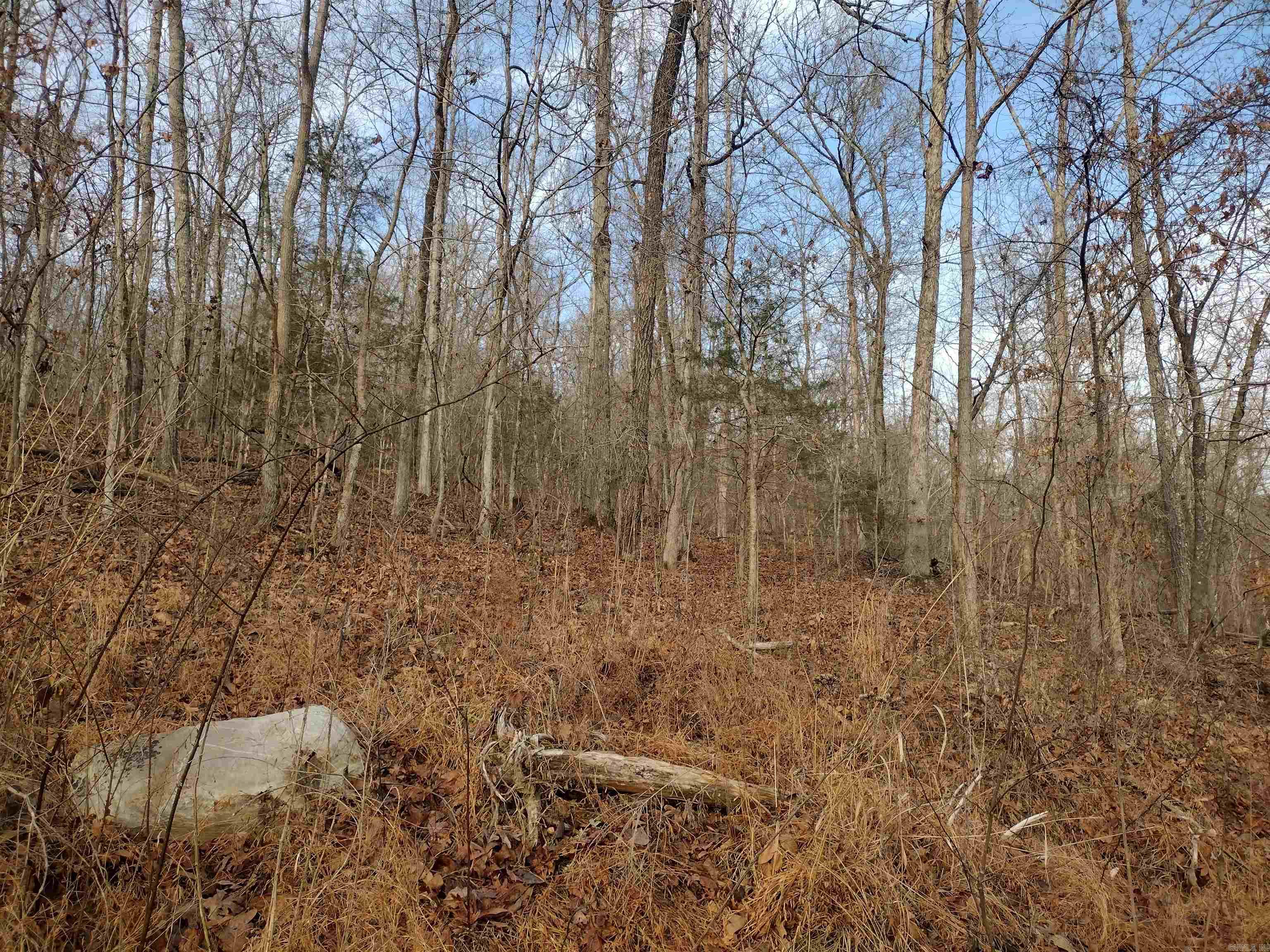 0 Geier RD  Mountain View, AR