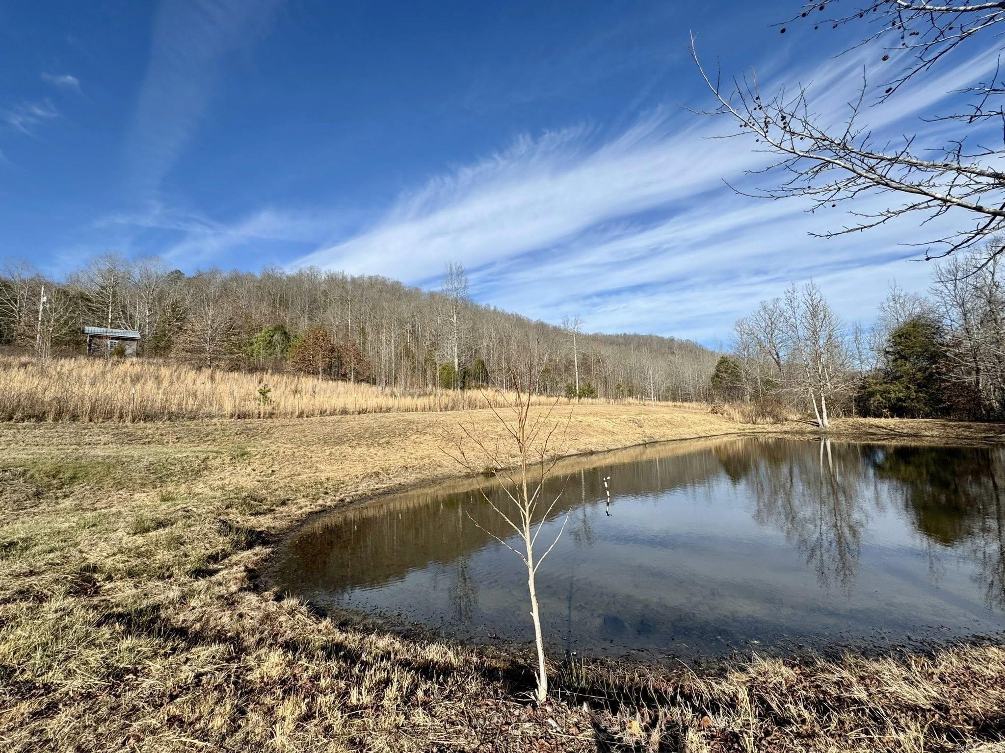 7099 S Hwy 9  Mountain View, AR