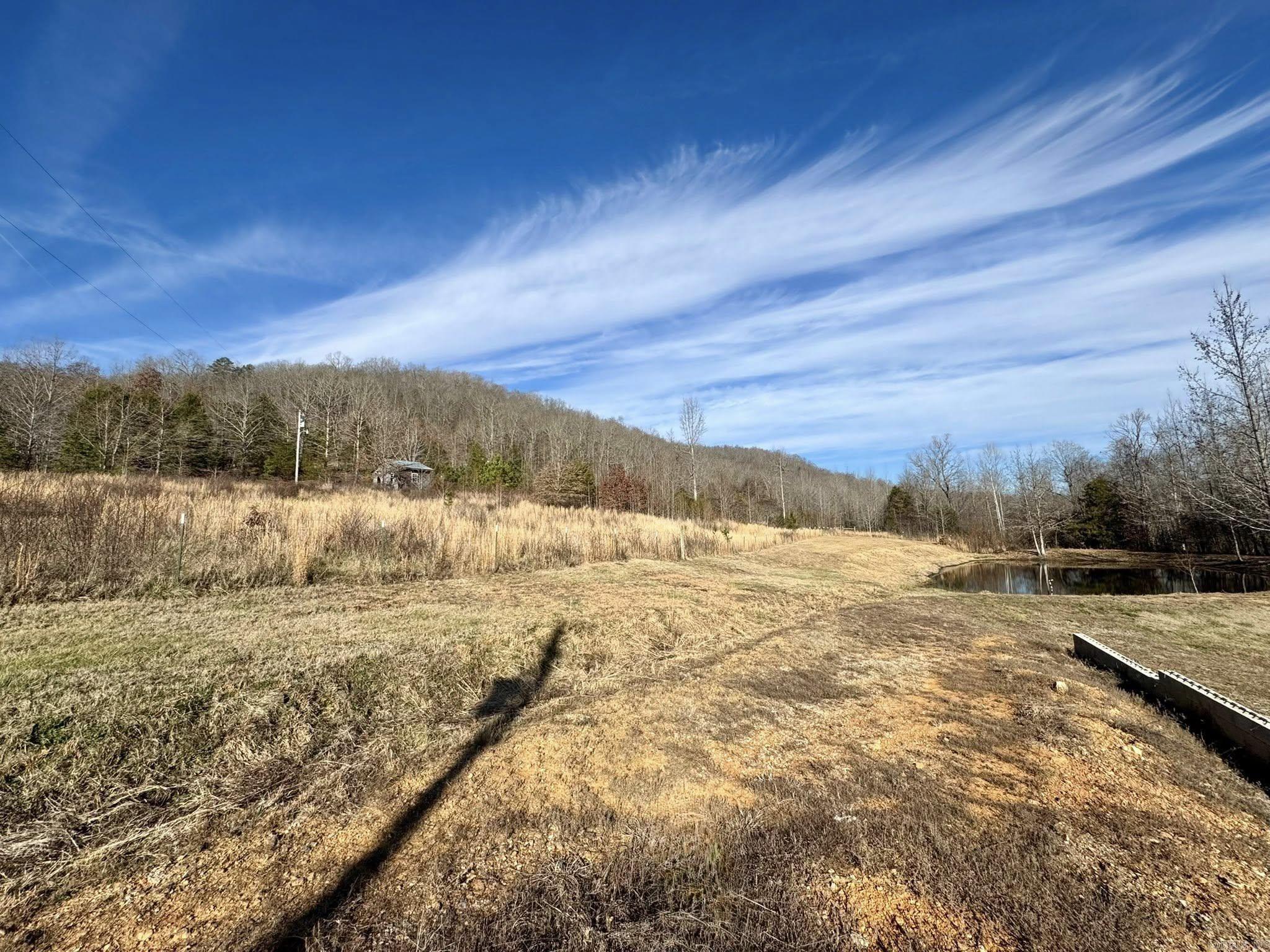 7099 S Hwy 9  Mountain View, AR