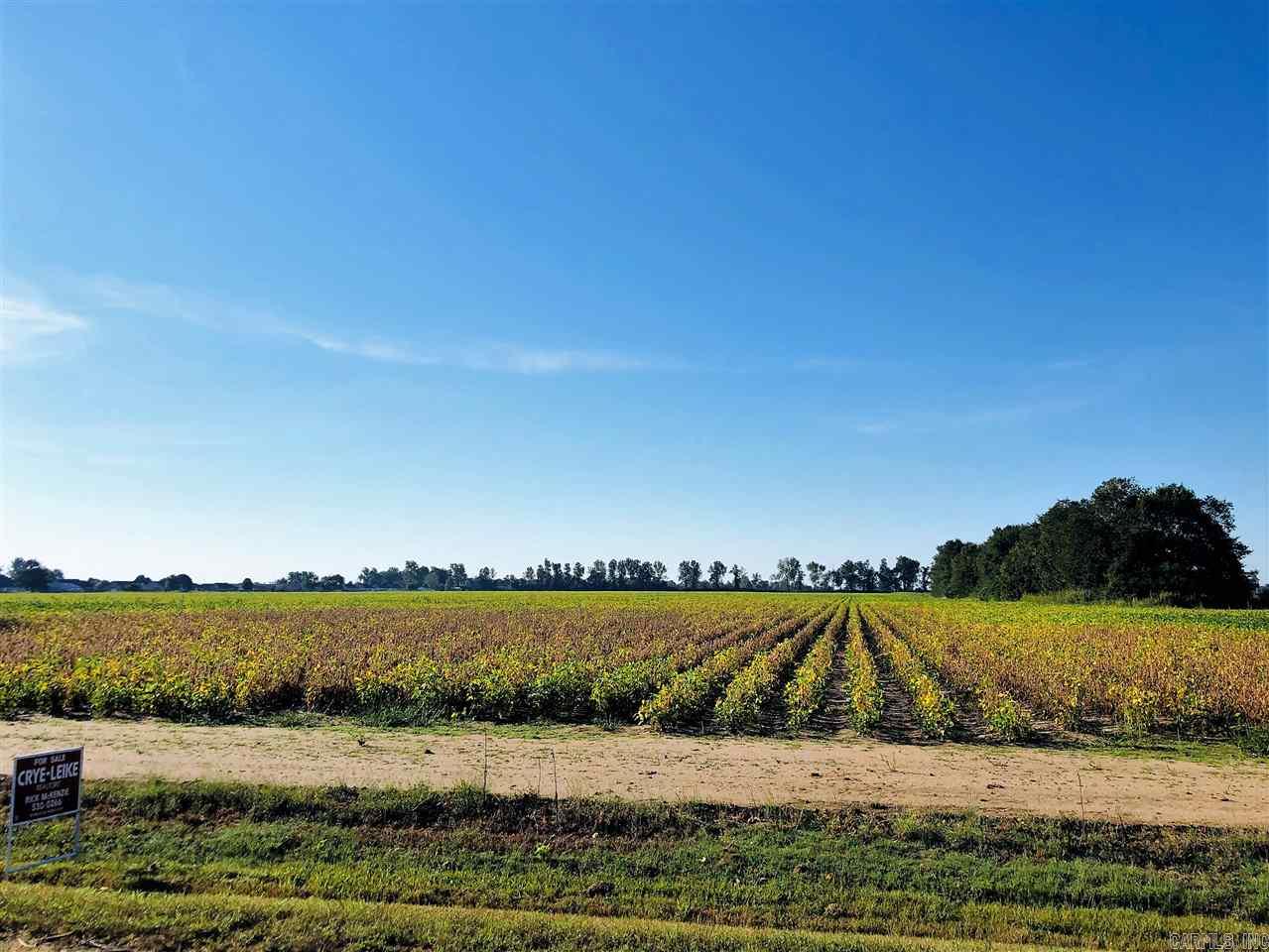 39.10 Acres W Main 39.10 Acres West Main Extended Trumann, AR