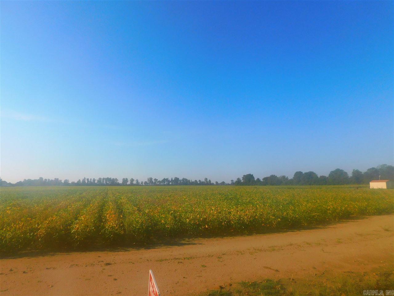 39.10 Acres W Main 39.10 Acres West Main Extended Trumann, AR