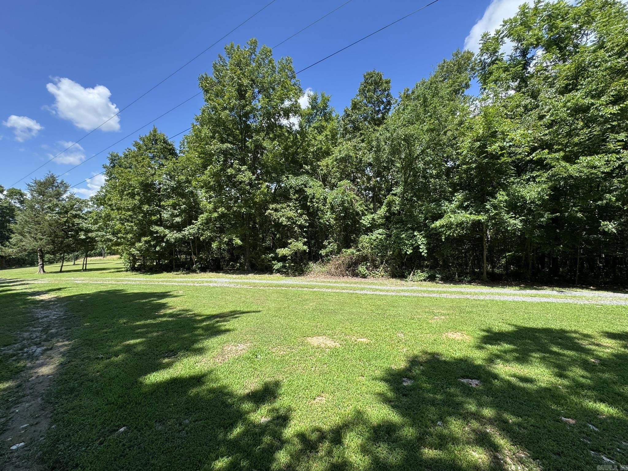 991 Fry  Harriet, AR