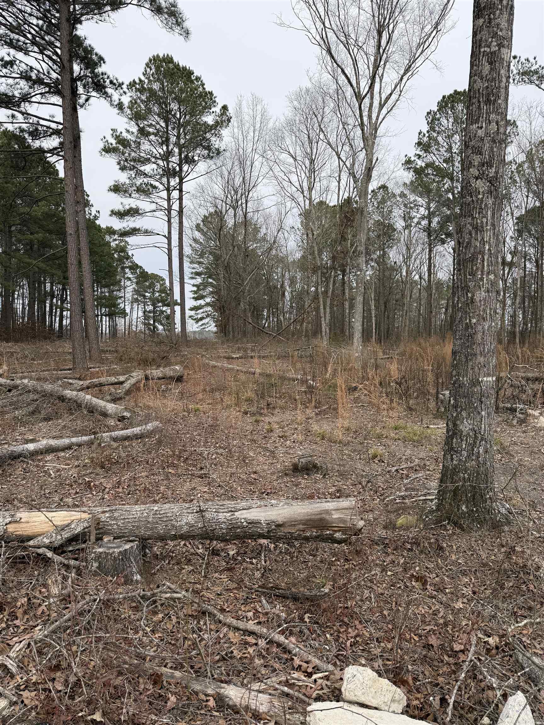 000 Sartin Cove  Little Rock, AR