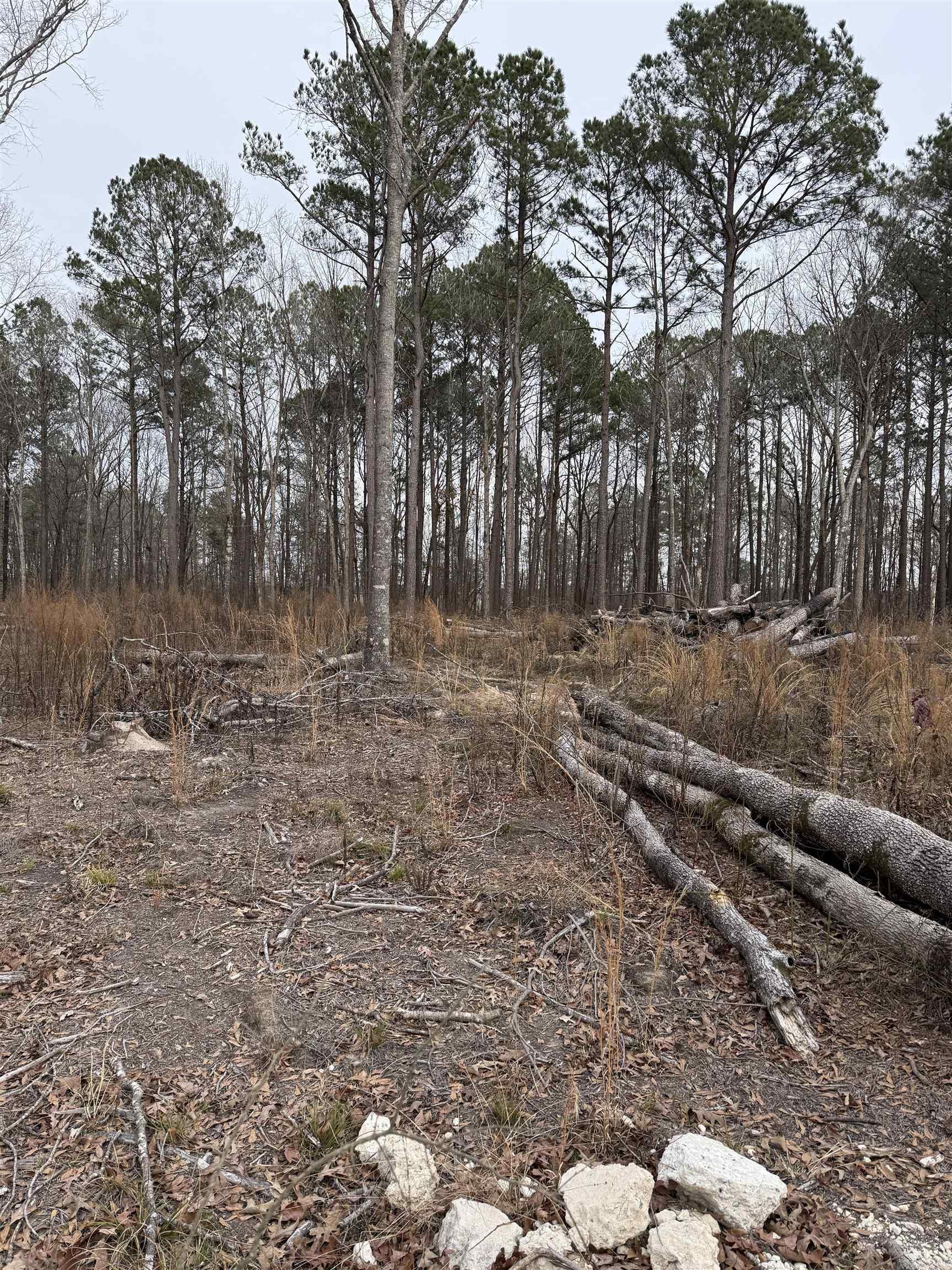 000 Sartin Cove  Little Rock, AR