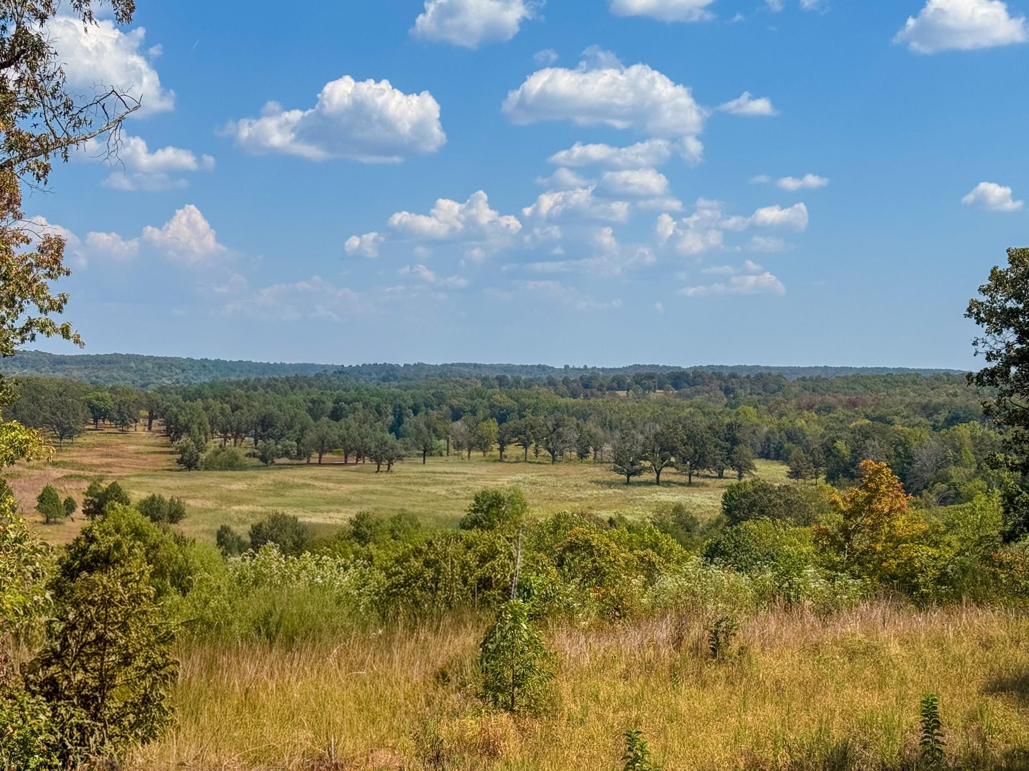 60 Tablerock  Evening Shade, AR