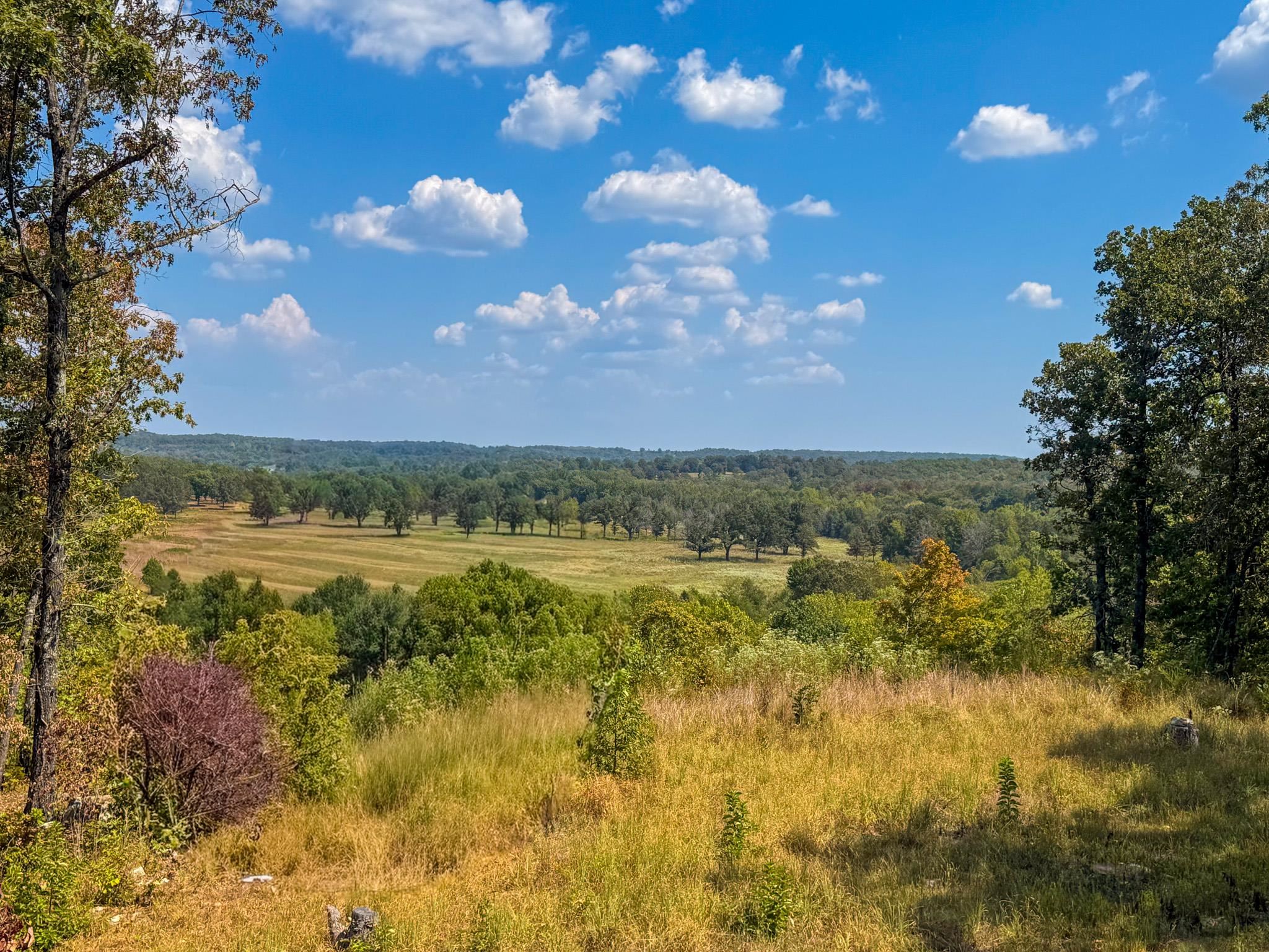 60 Tablerock  Evening Shade, AR