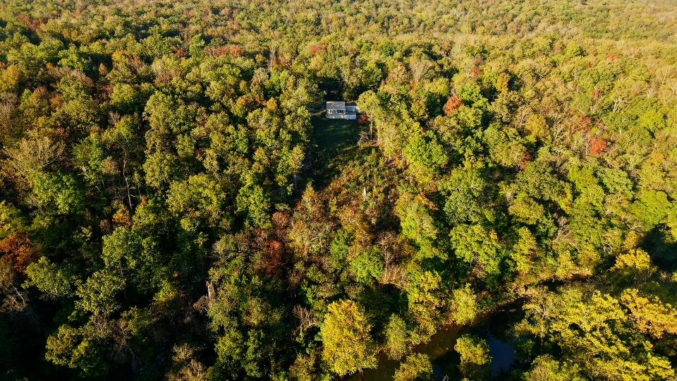 60 Tablerock  Evening Shade, AR