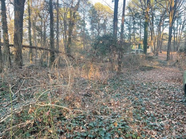 20911 Grapevine Mabelvale, AR 72103