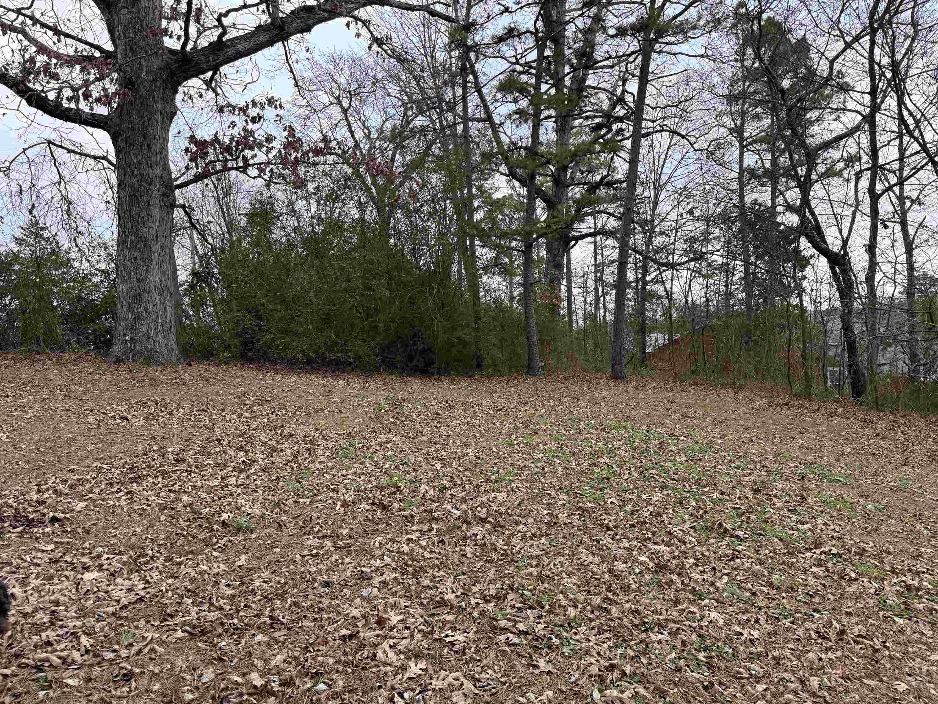 37 Park Circle  Evening Shade, AR