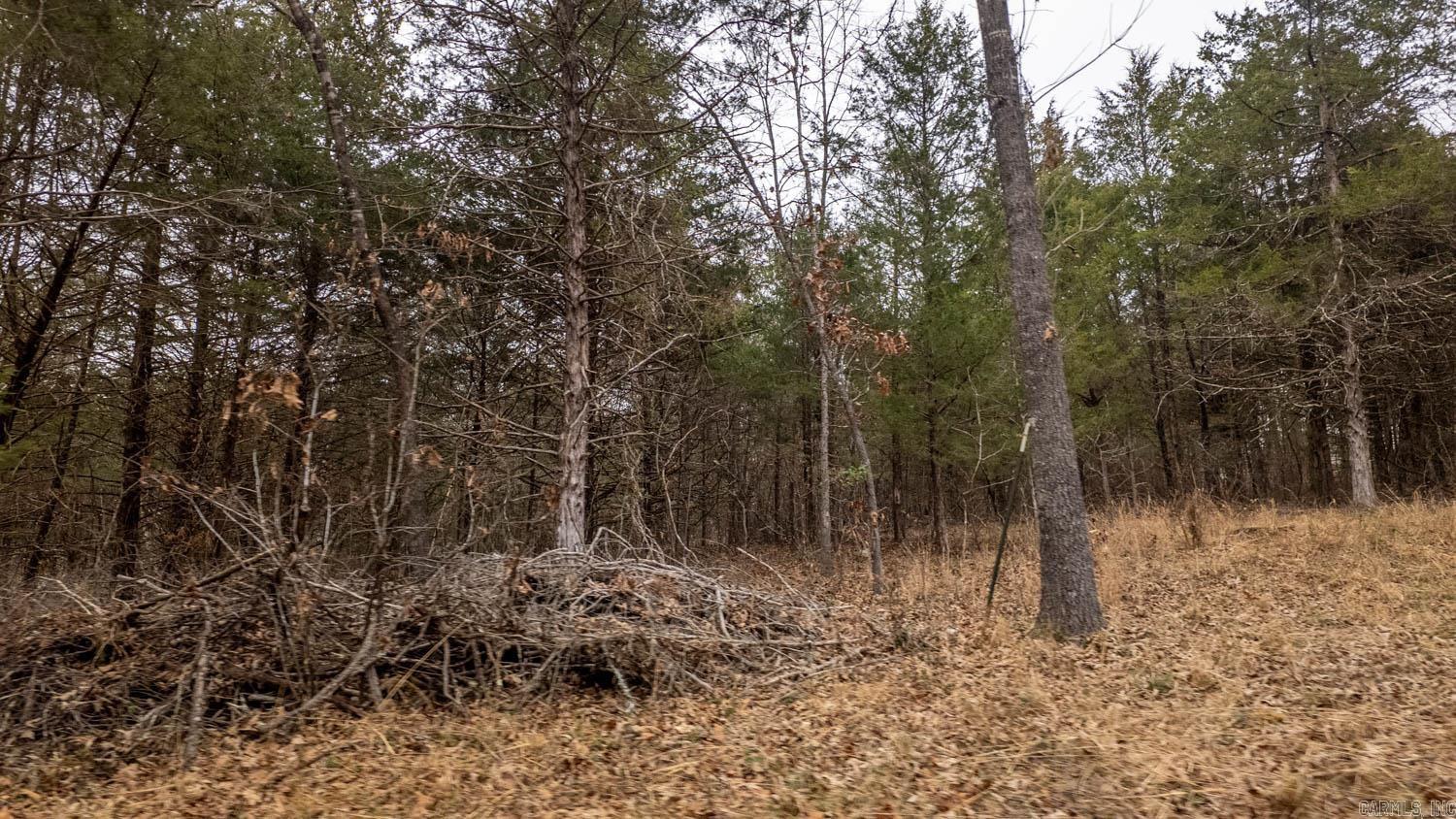 000 State Highway 142 West  Thayer, MO