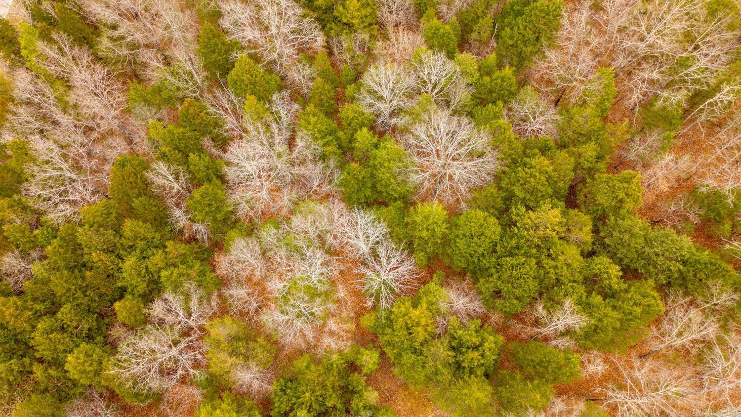 000 State Highway 142 West  Thayer, MO