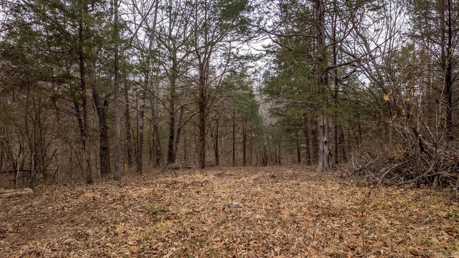 000 State Highway 142 West  Thayer, MO