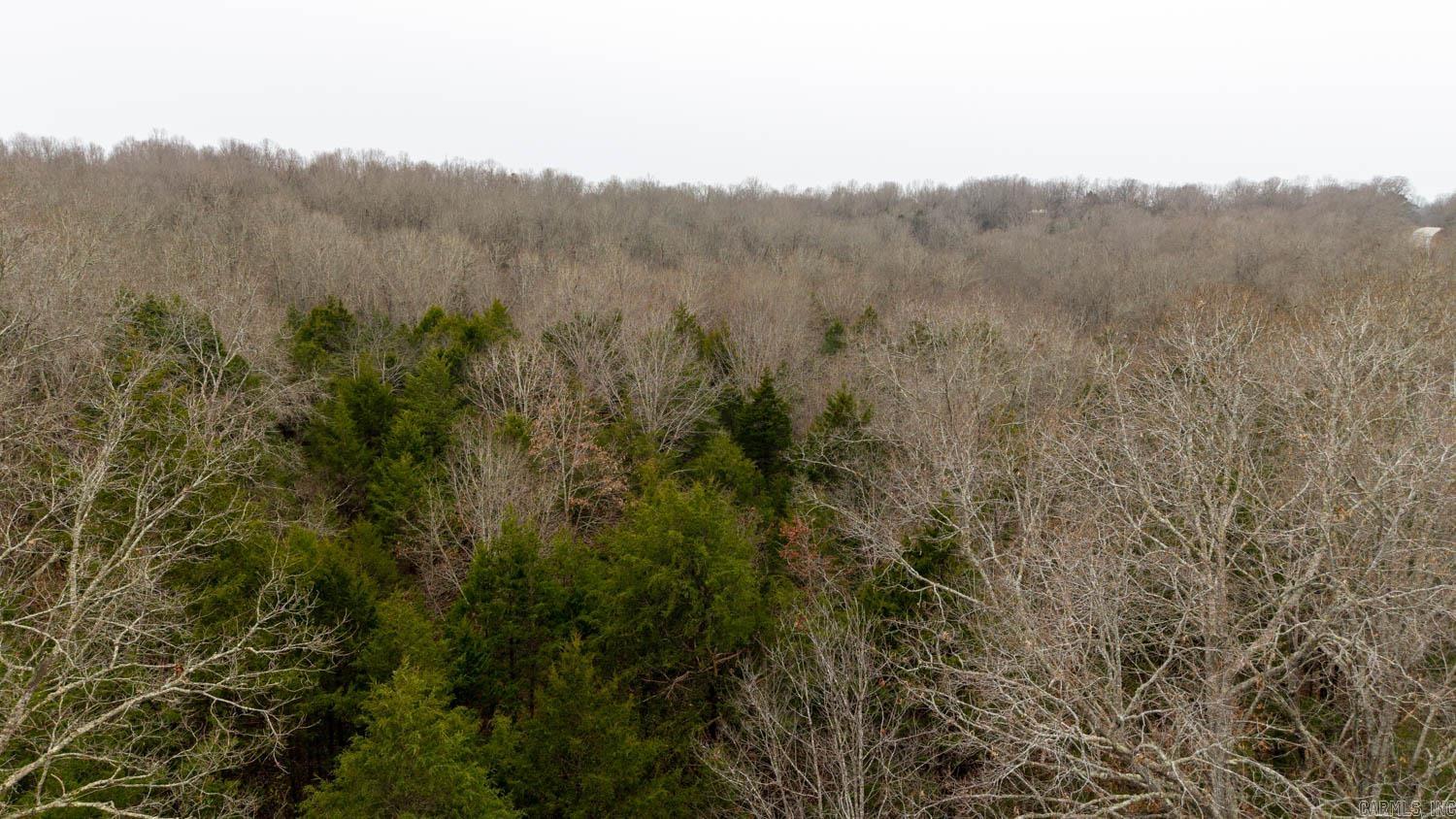 000 State Highway 142 West  Thayer, MO