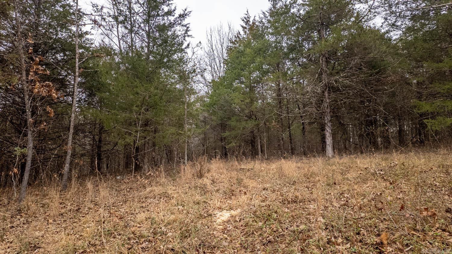 000 State Highway 142 West  Thayer, MO