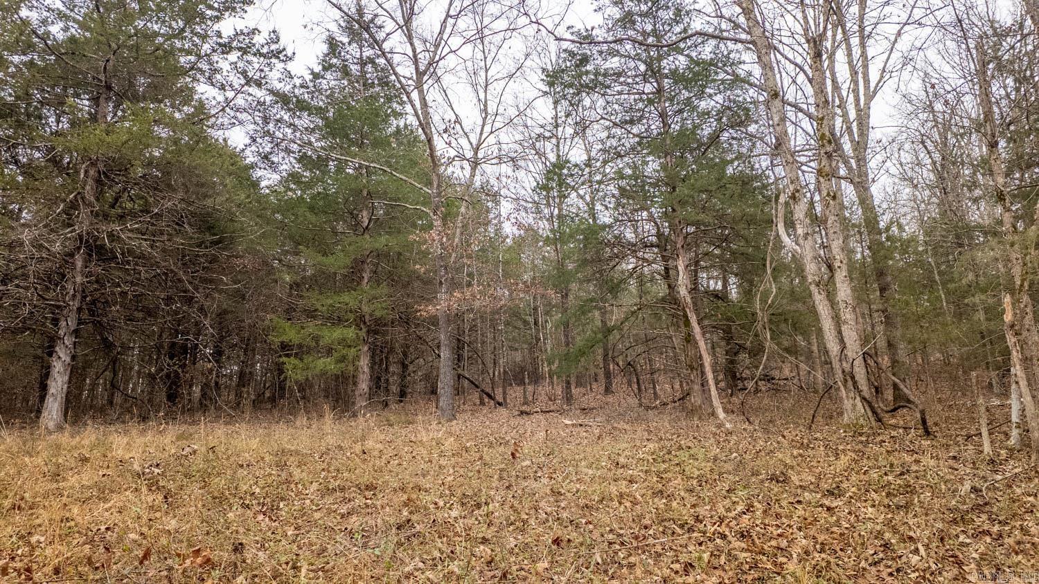 000 State Highway 142 West  Thayer, MO