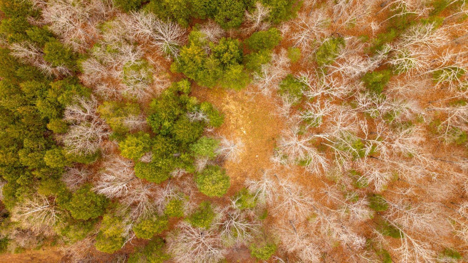 000 State Highway 142 West  Thayer, MO